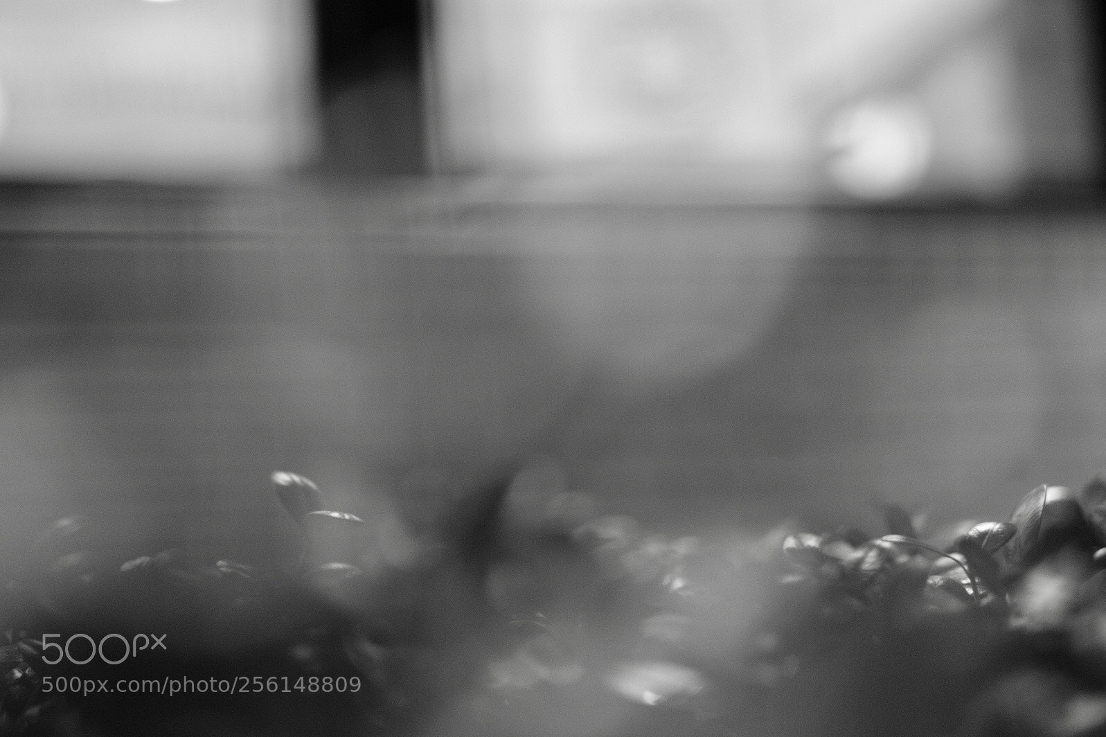 Fujifilm X-T2 sample photo. Want to see that photography