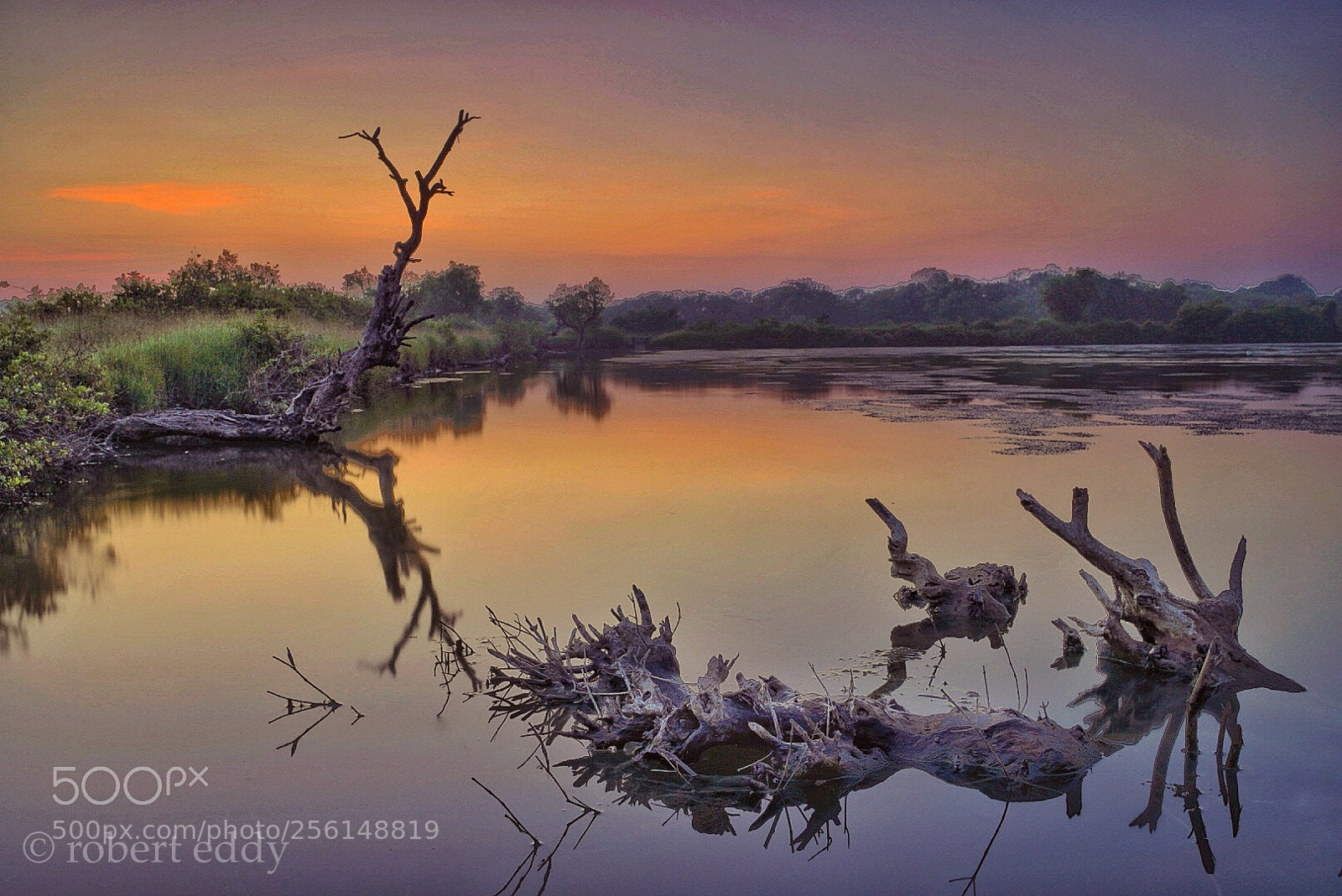 Sony a7R III sample photo. Reflection sunrise  photography