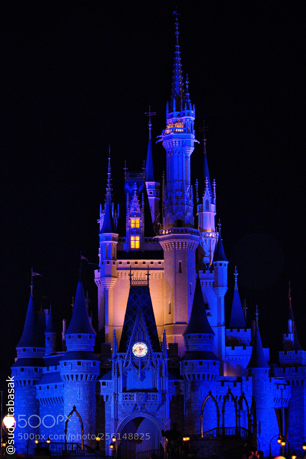 Nikon D7200 sample photo. Cinderella castle, the icon photography
