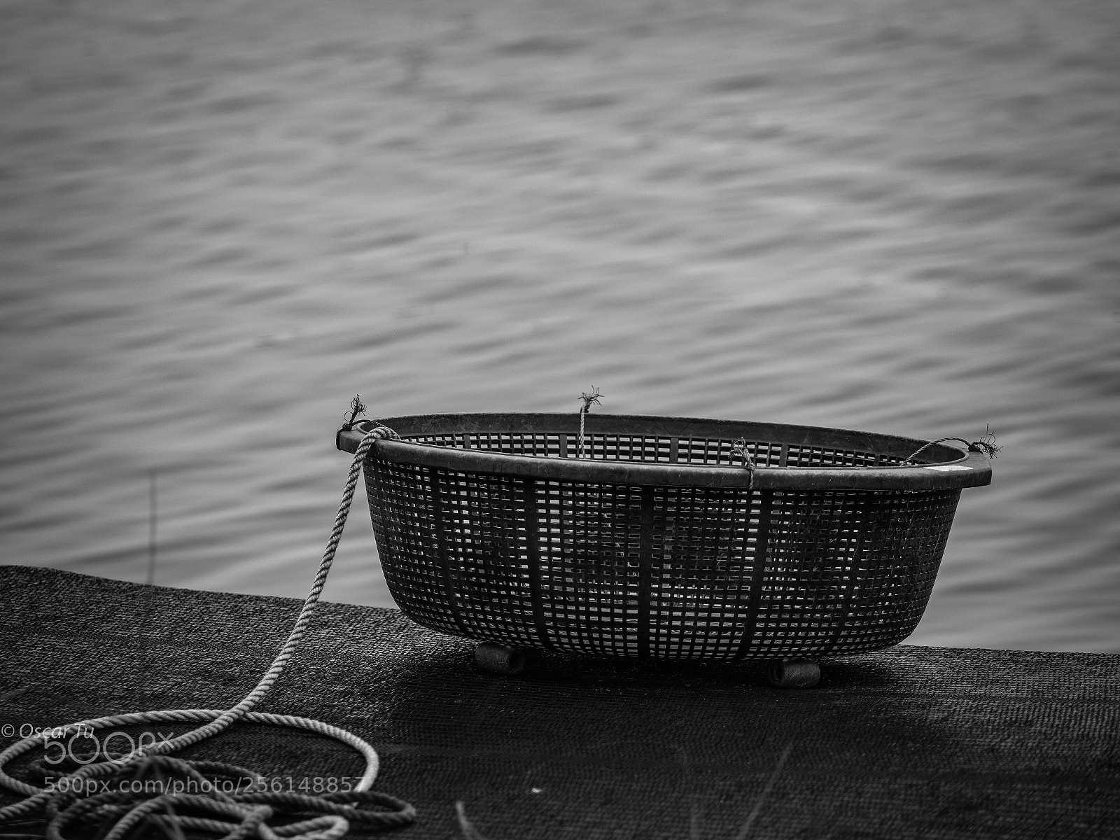 Olympus OM-D E-M1 Mark II sample photo. Untitled photography