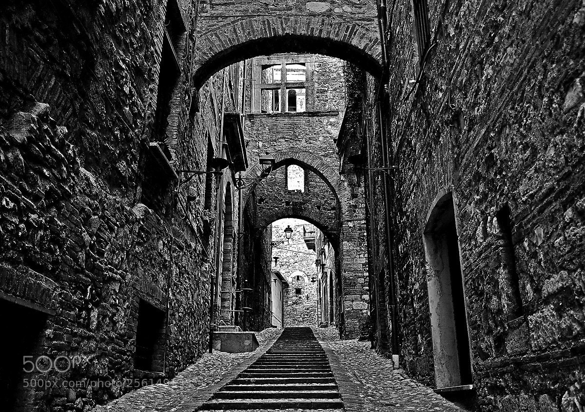 Nikon D600 sample photo. Narni photography