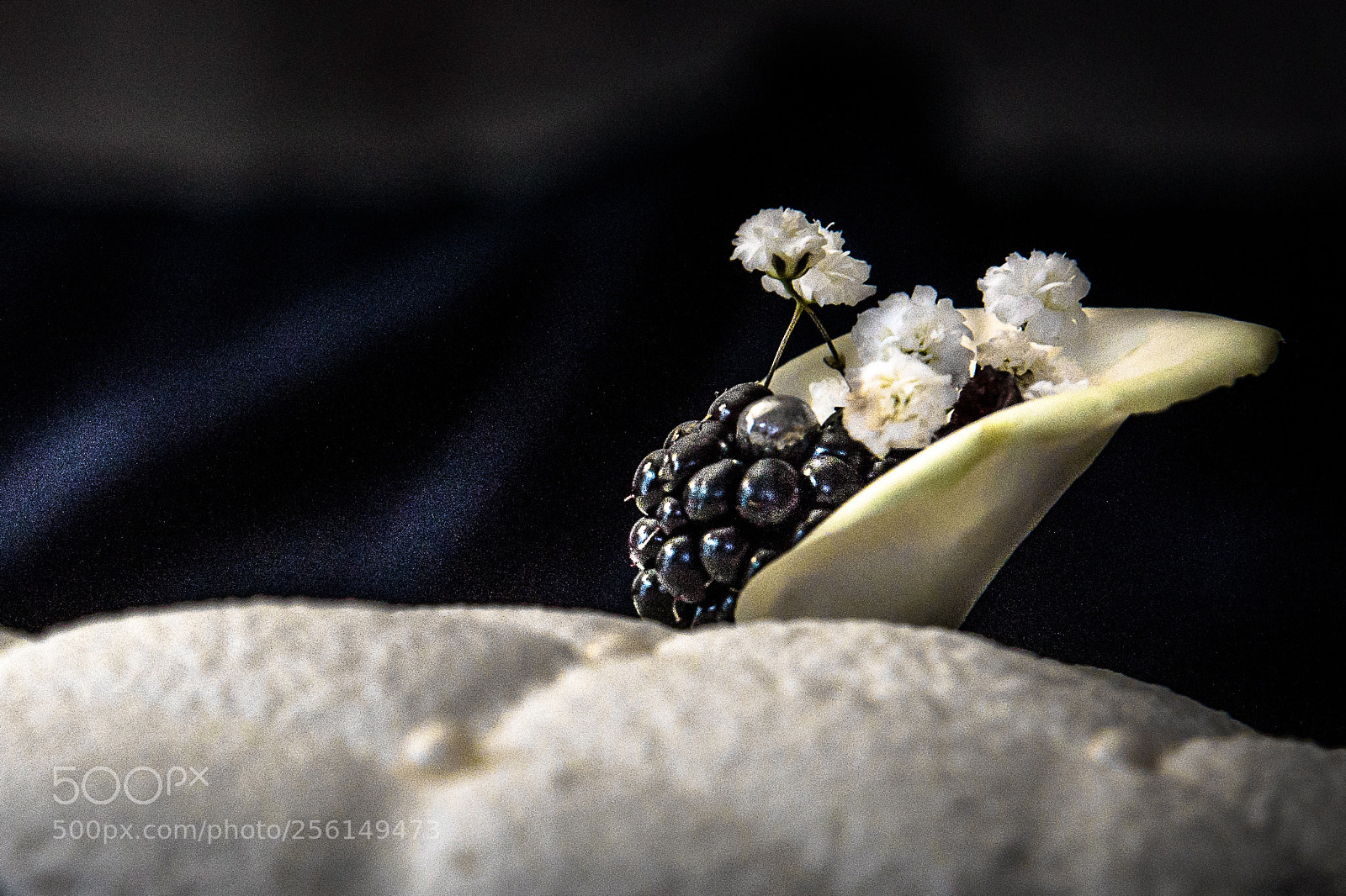 Nikon D750 sample photo. On the cake photography
