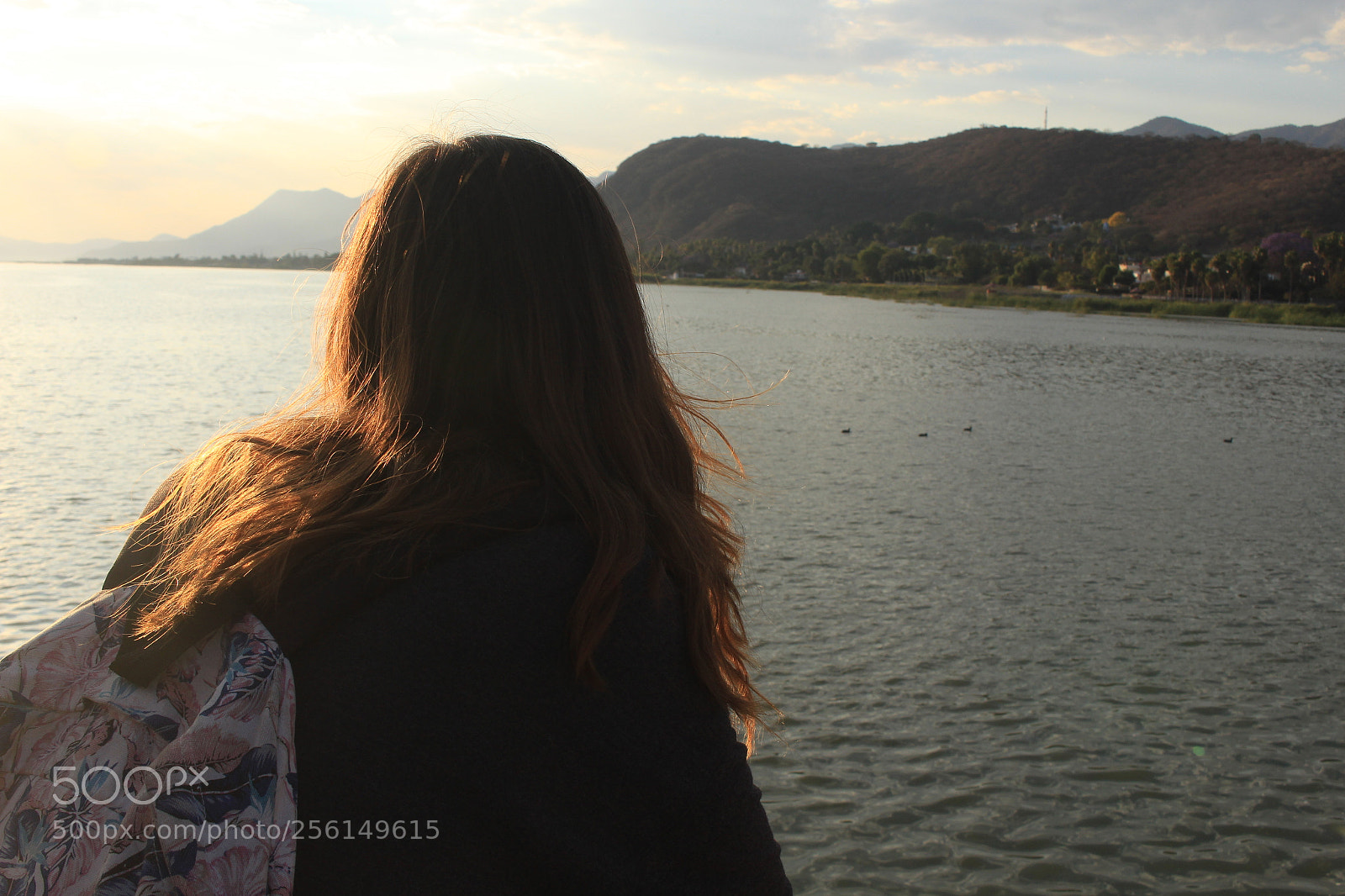 Canon EOS 700D (EOS Rebel T5i / EOS Kiss X7i) sample photo. Pasajera de la vida photography