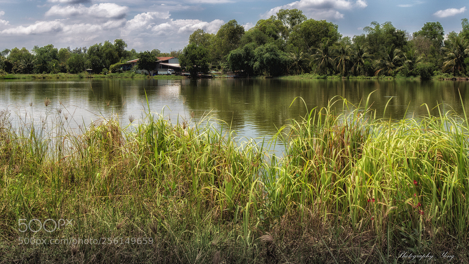 Canon EOS 6D sample photo. Untitled photography