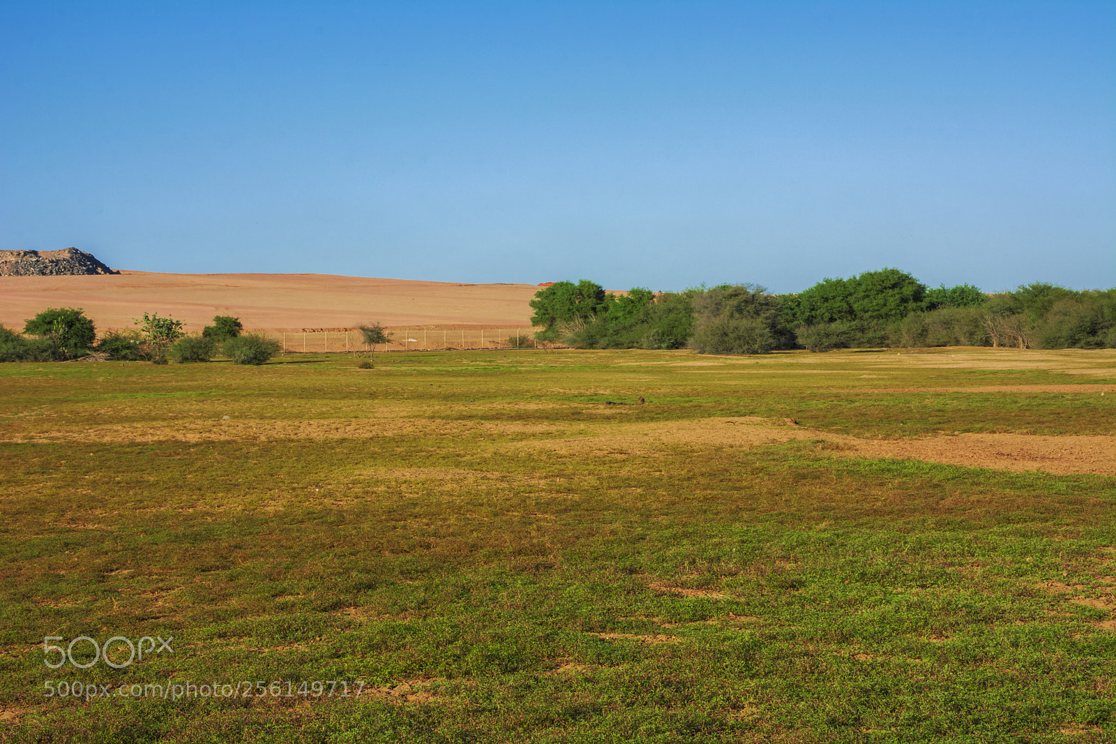 Nikon D7100 sample photo. The lawn photography