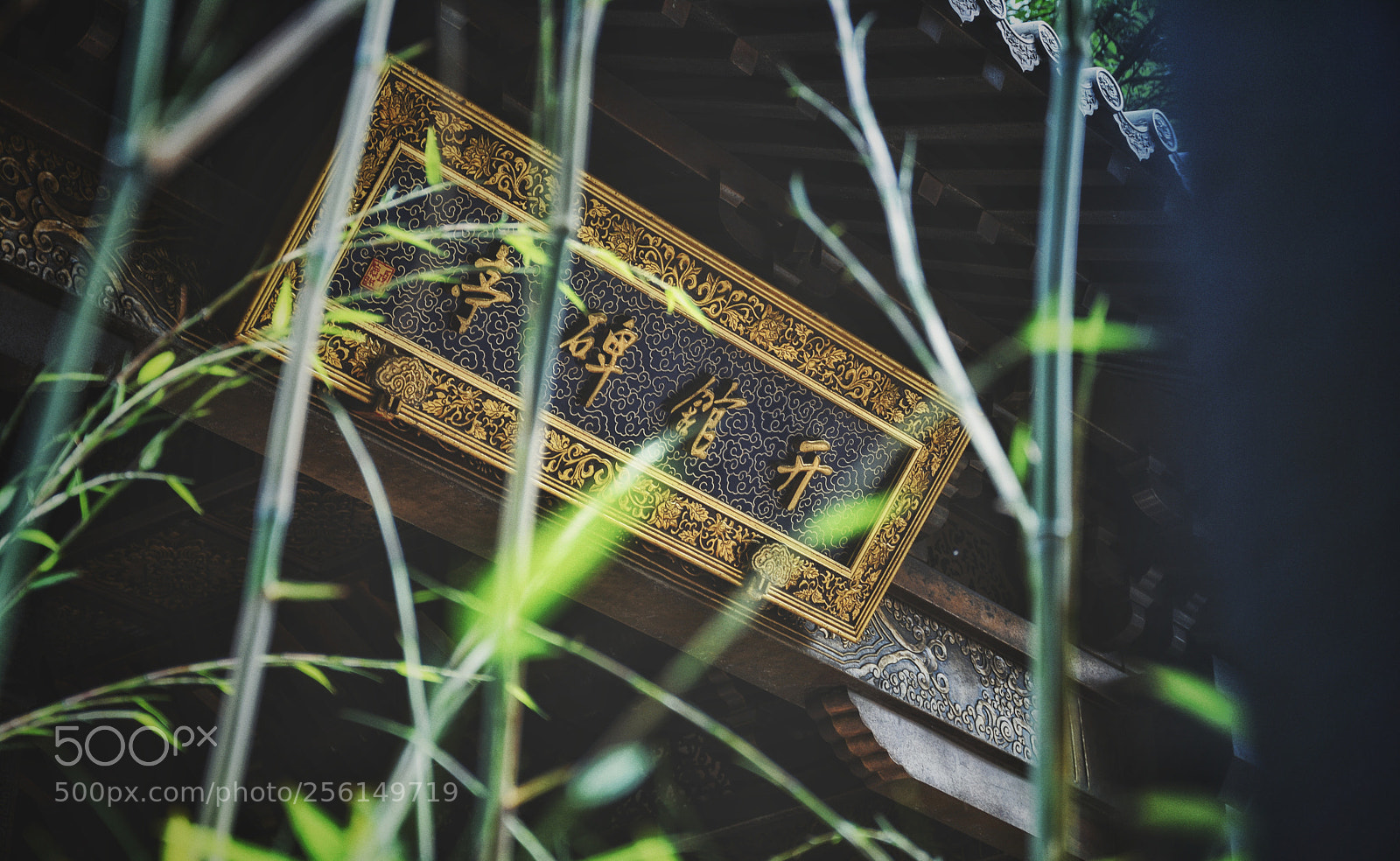 Nikon D7100 sample photo. April photo photography