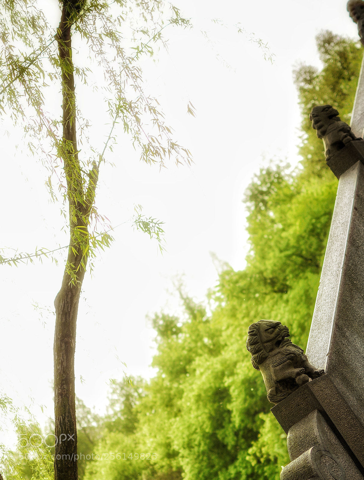 Nikon D7100 sample photo. April photo photography