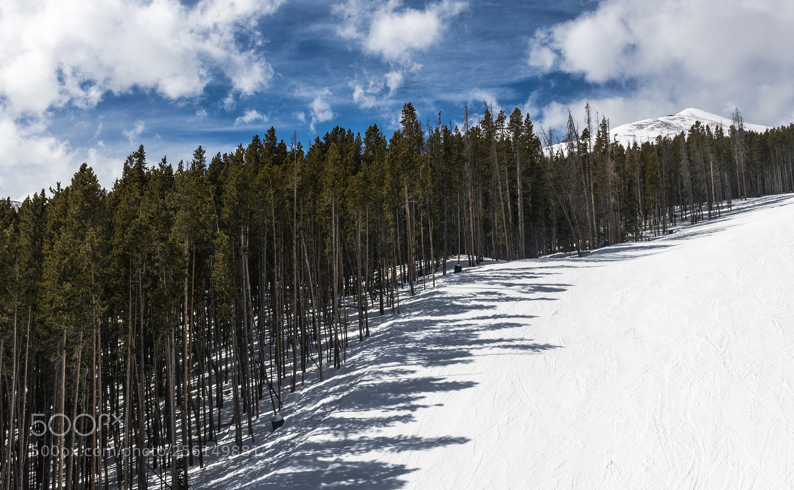 Canon EOS 750D (EOS Rebel T6i / EOS Kiss X8i) sample photo. Sunshine over the trees photography