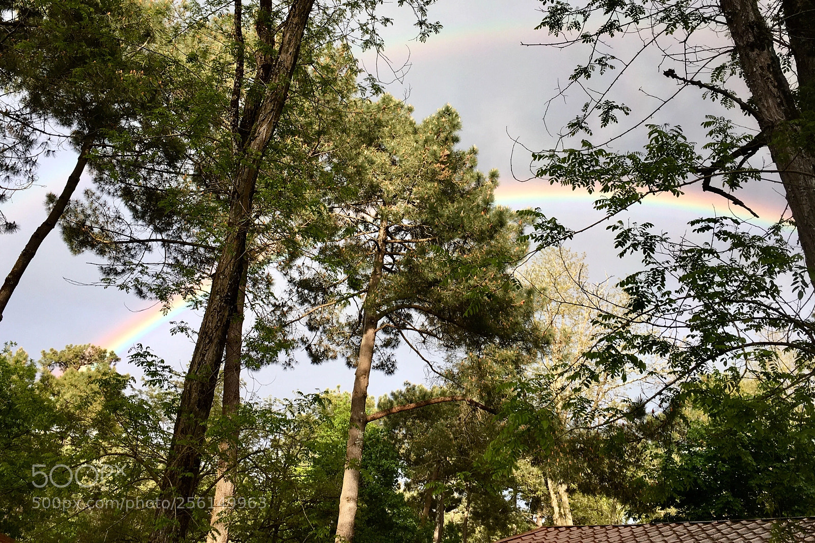 Apple iPhone 6s sample photo. Rainbow photography