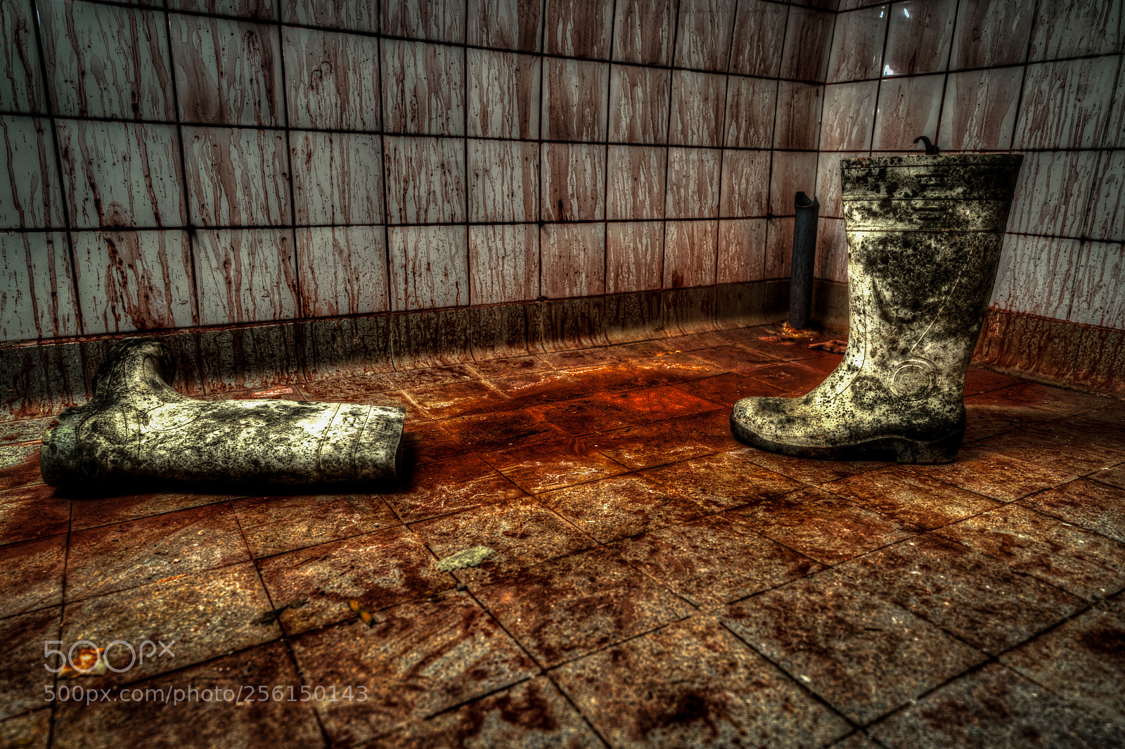 Sony a7R III sample photo. These boots are made photography