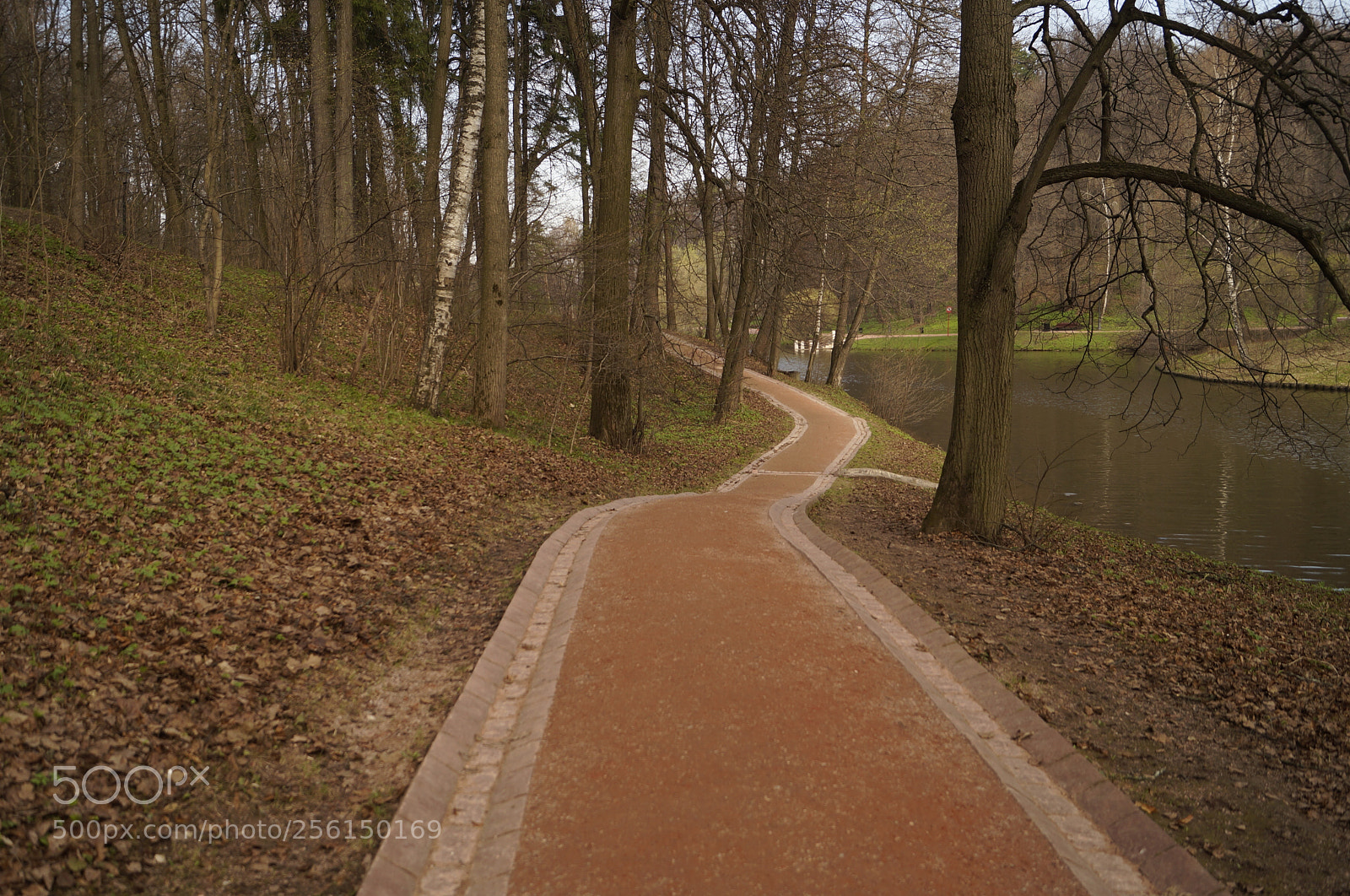 Sony SLT-A57 sample photo. Untitled photography