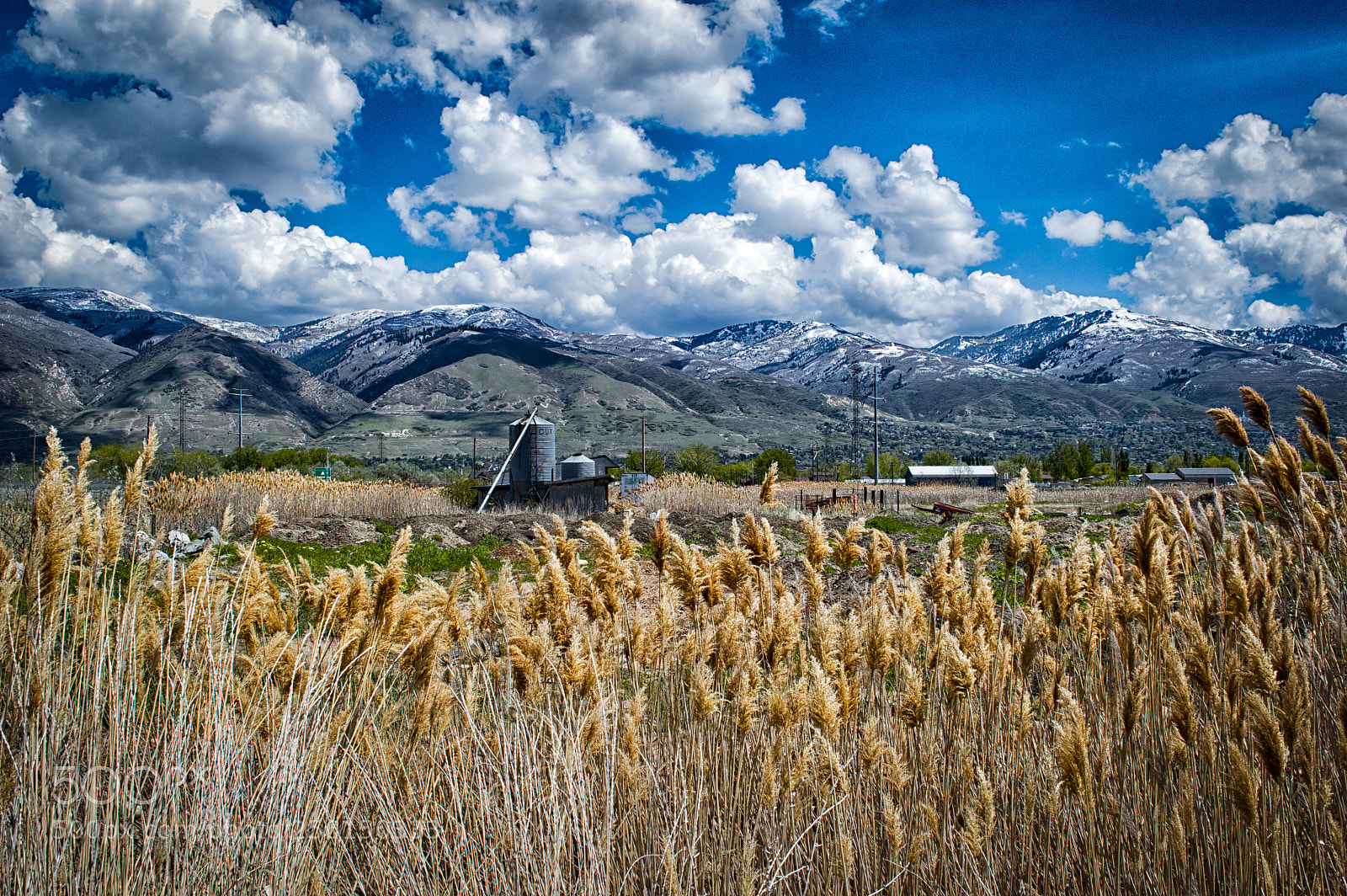 Nikon D3200 sample photo. Cloud farm photography