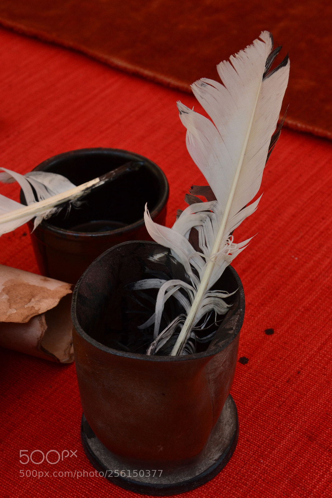 Nikon D3100 sample photo. Untitled photography