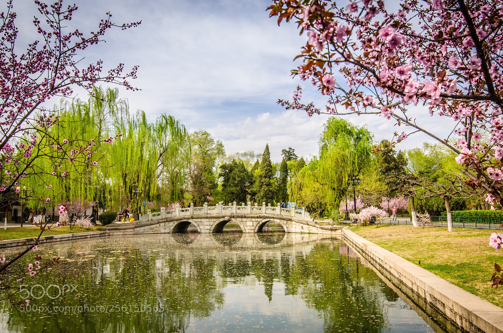 Nikon D5100 sample photo. Arch bridge photography