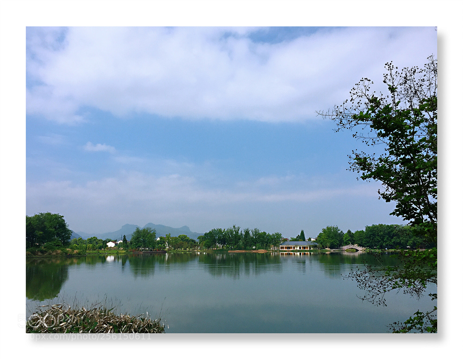 Apple iPhone 6 sample photo. Image photography