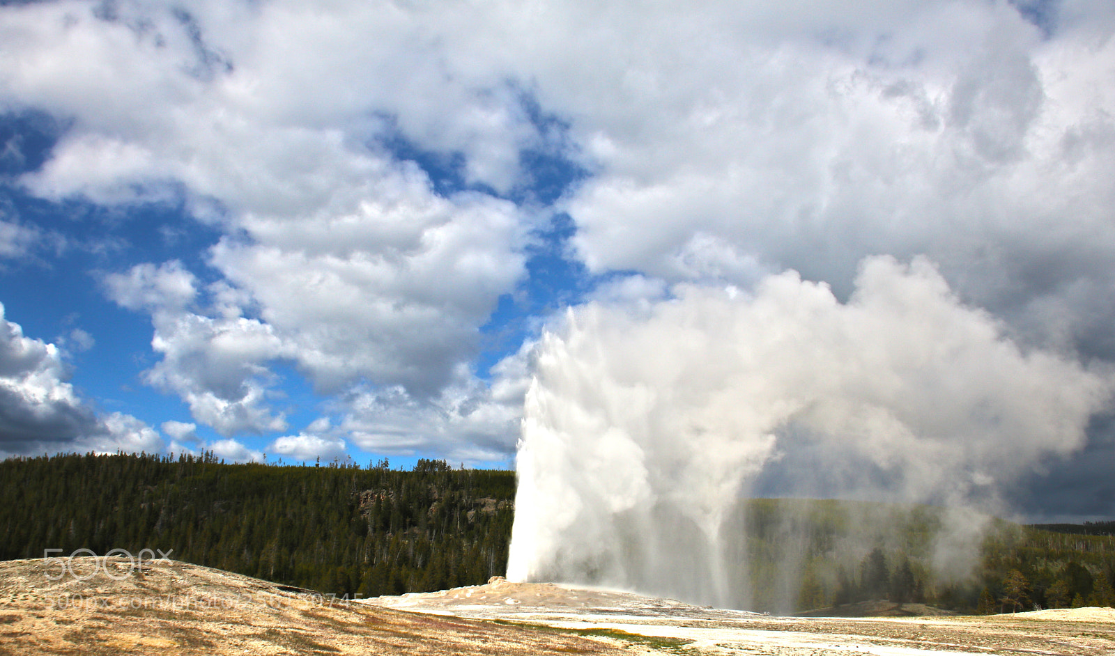Canon EOS 80D sample photo. Old faithful photography