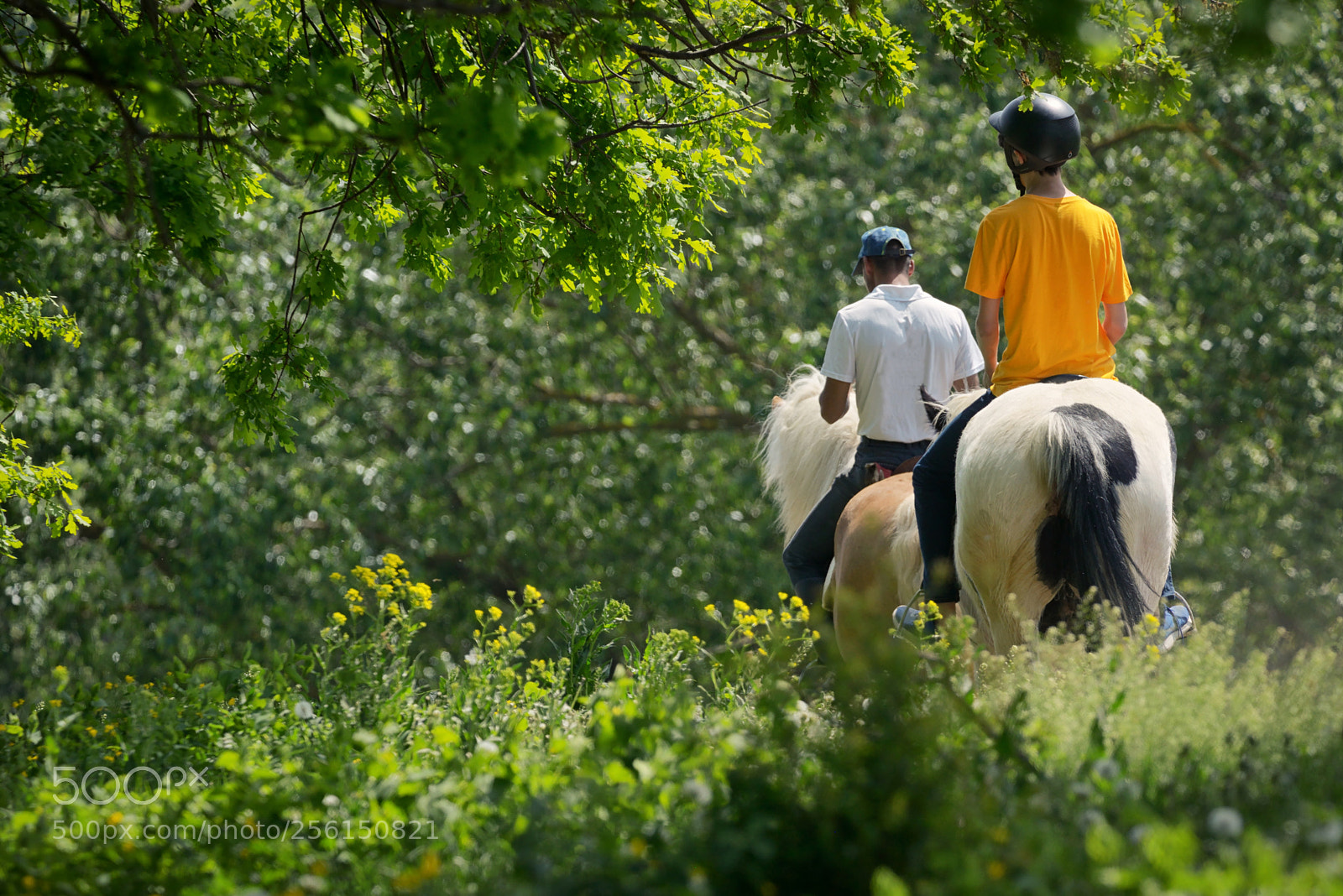 Nikon D610 sample photo. Riding instructor and teenage photography