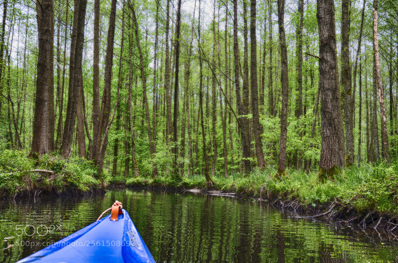 Nikon D7000 sample photo. Spreewald photography