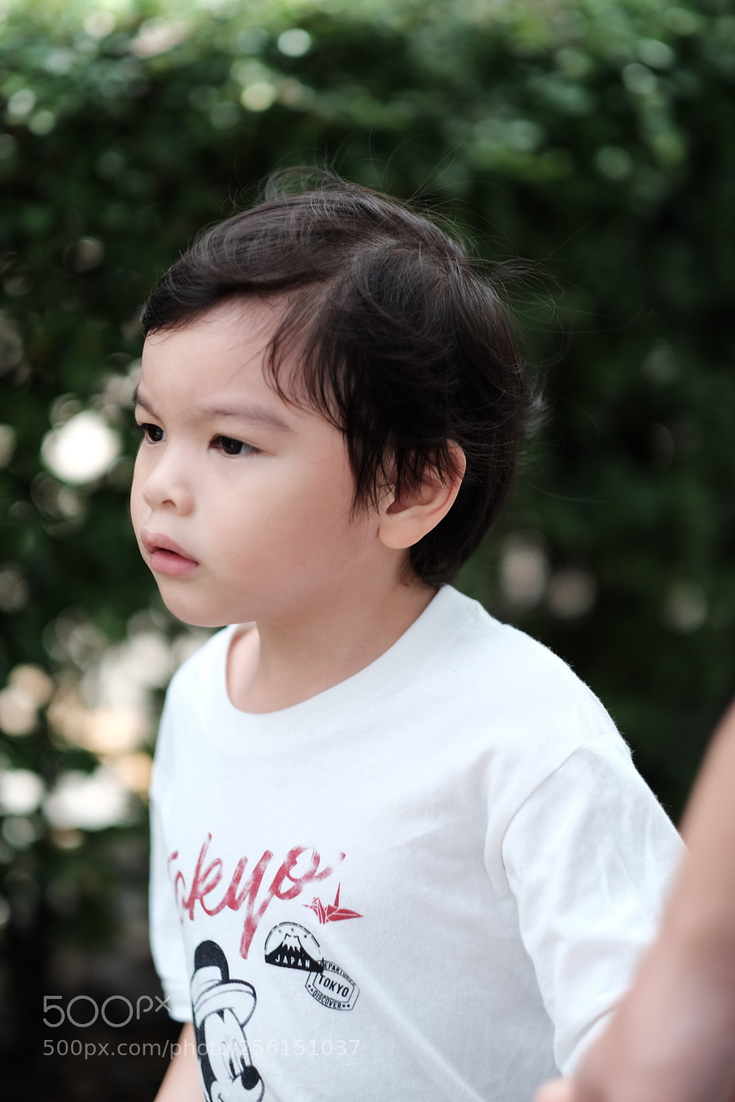 Fujifilm X-T10 sample photo. See's candies photography