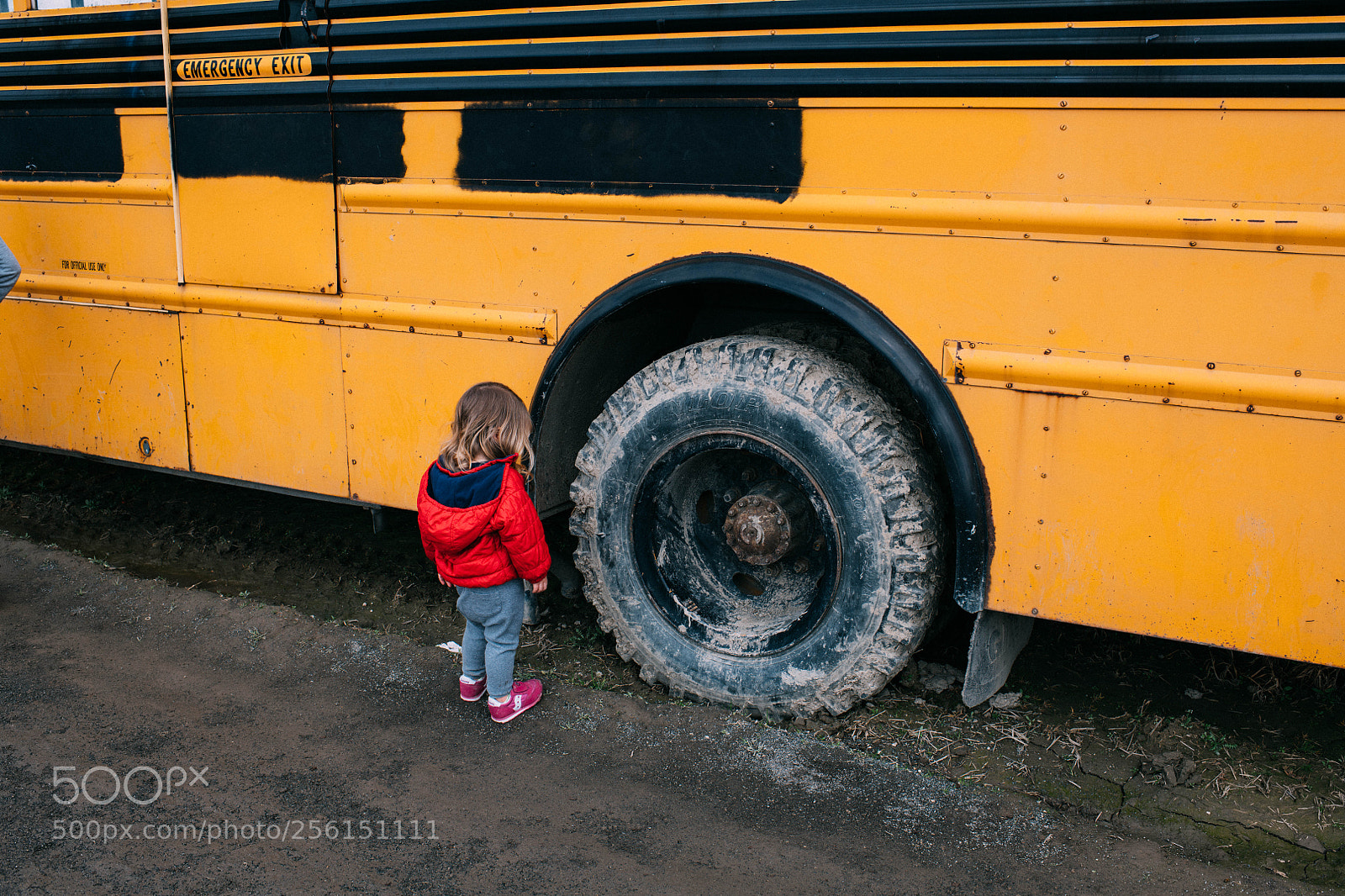 Nikon D850 sample photo. Child and school bus photography