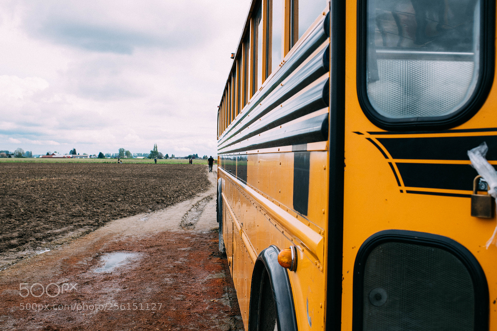 Nikon D850 sample photo. School bus photography