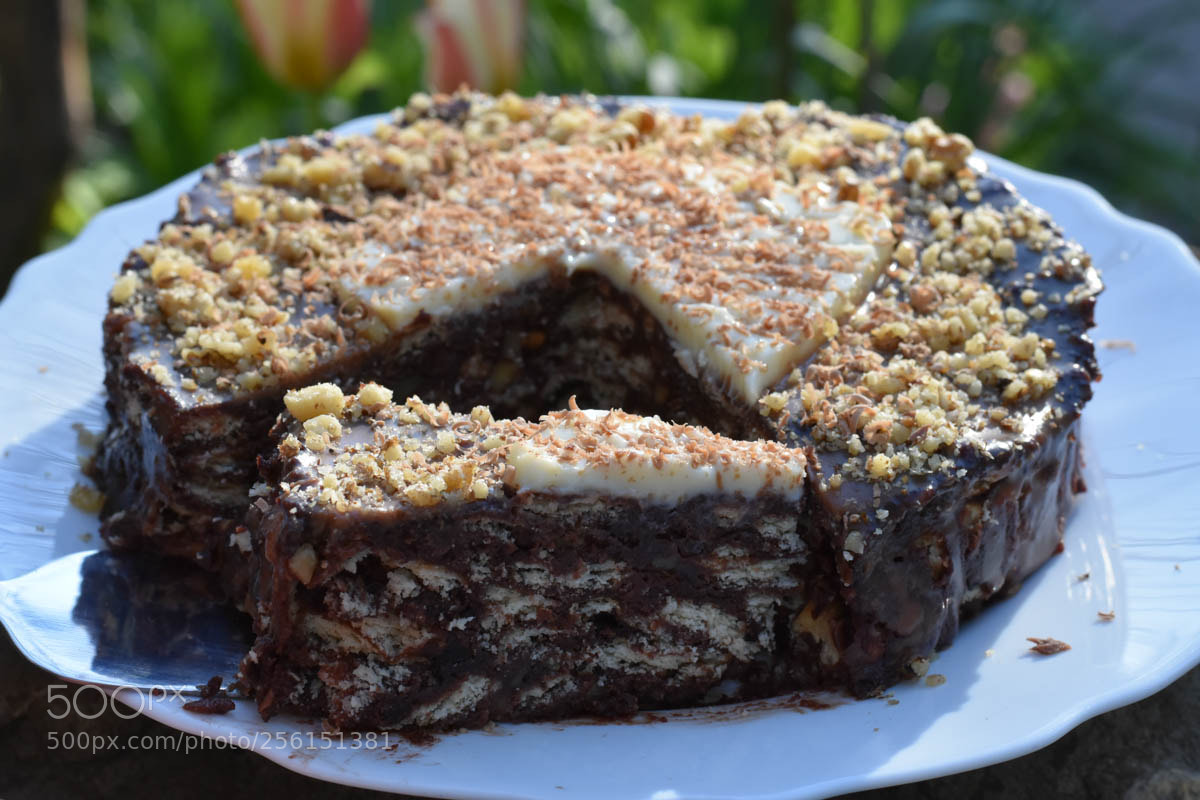 Nikon D7200 sample photo. Tort de biscuiti cu photography