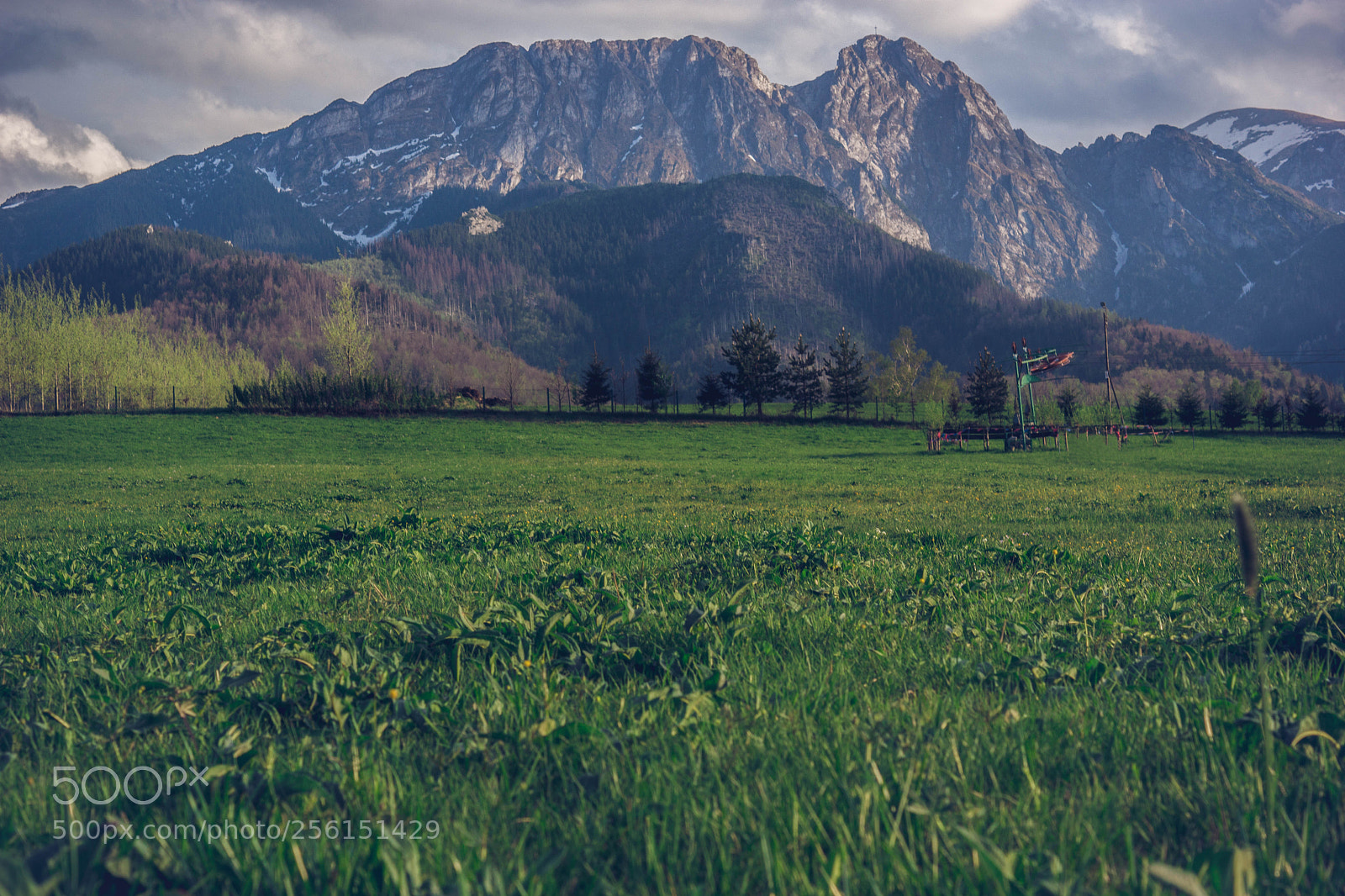 Sony SLT-A65 (SLT-A65V) sample photo. Widok na giewont z photography