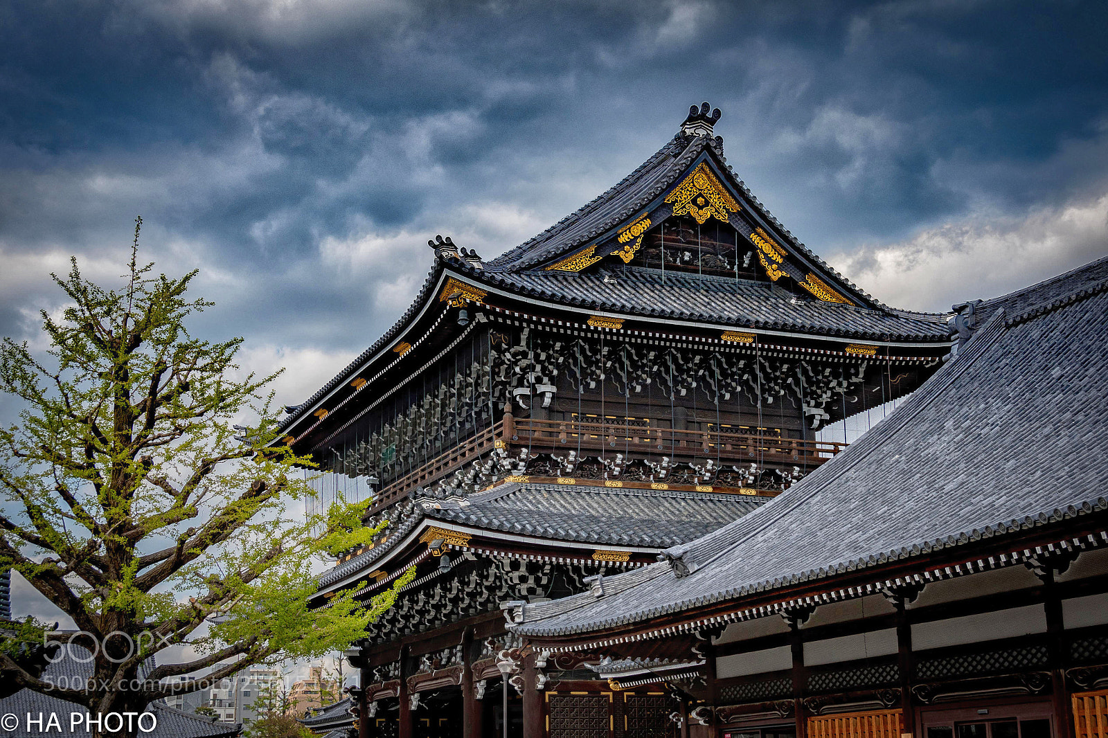 Nikon D7500 sample photo. Higashi honganji photography