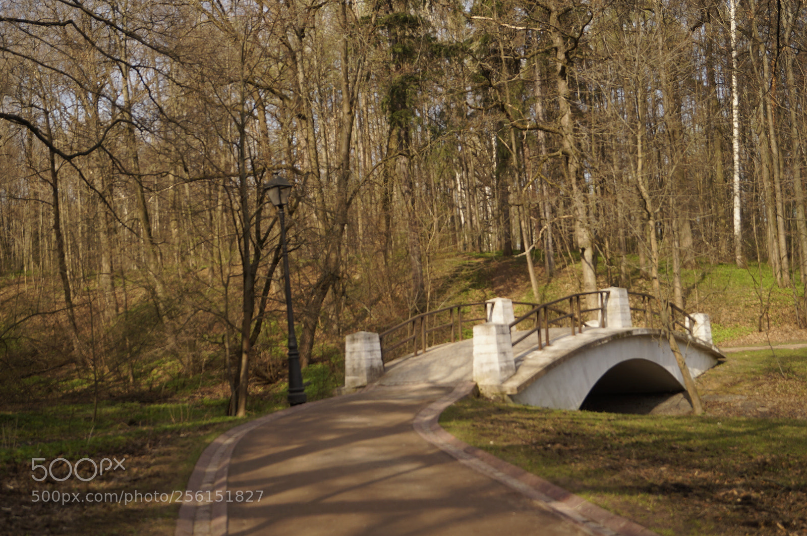 Sony SLT-A57 sample photo. Untitled photography