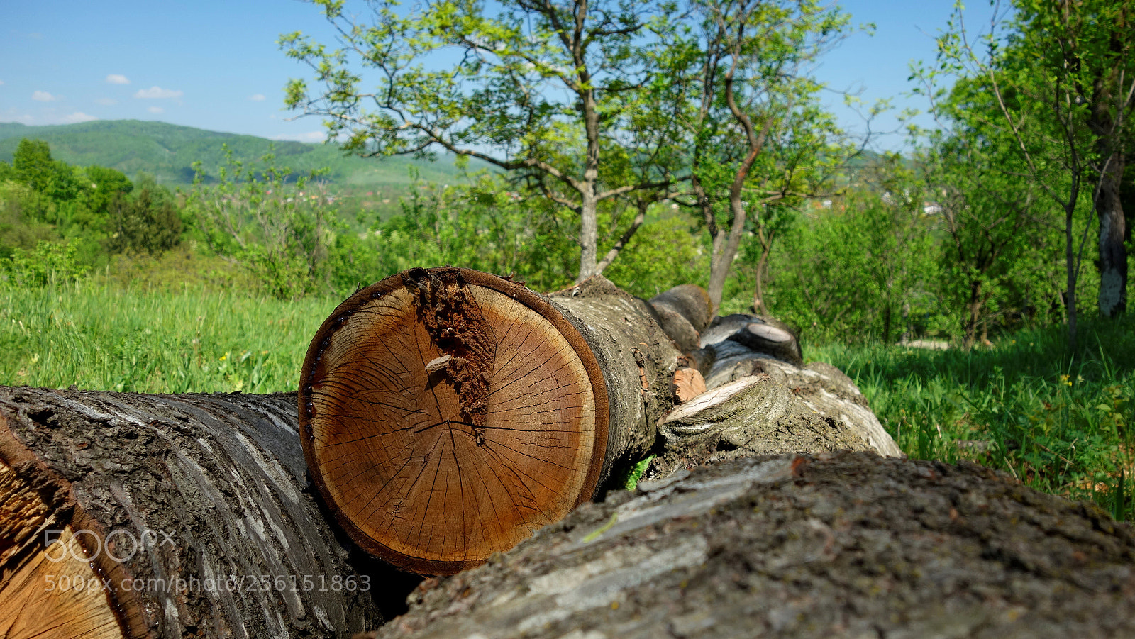 Sony Cyber-shot DSC-RX100 sample photo. Perspective photography