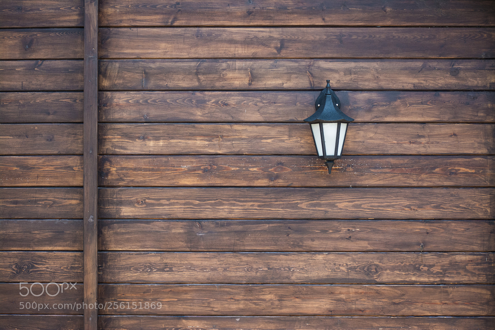 Nikon D5200 sample photo. Lighting the woods photography