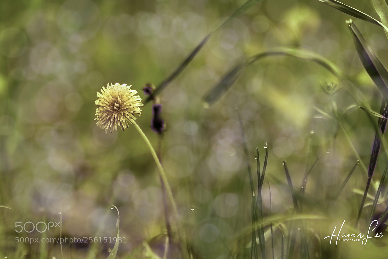 Canon EOS 6D sample photo. Untitled photography