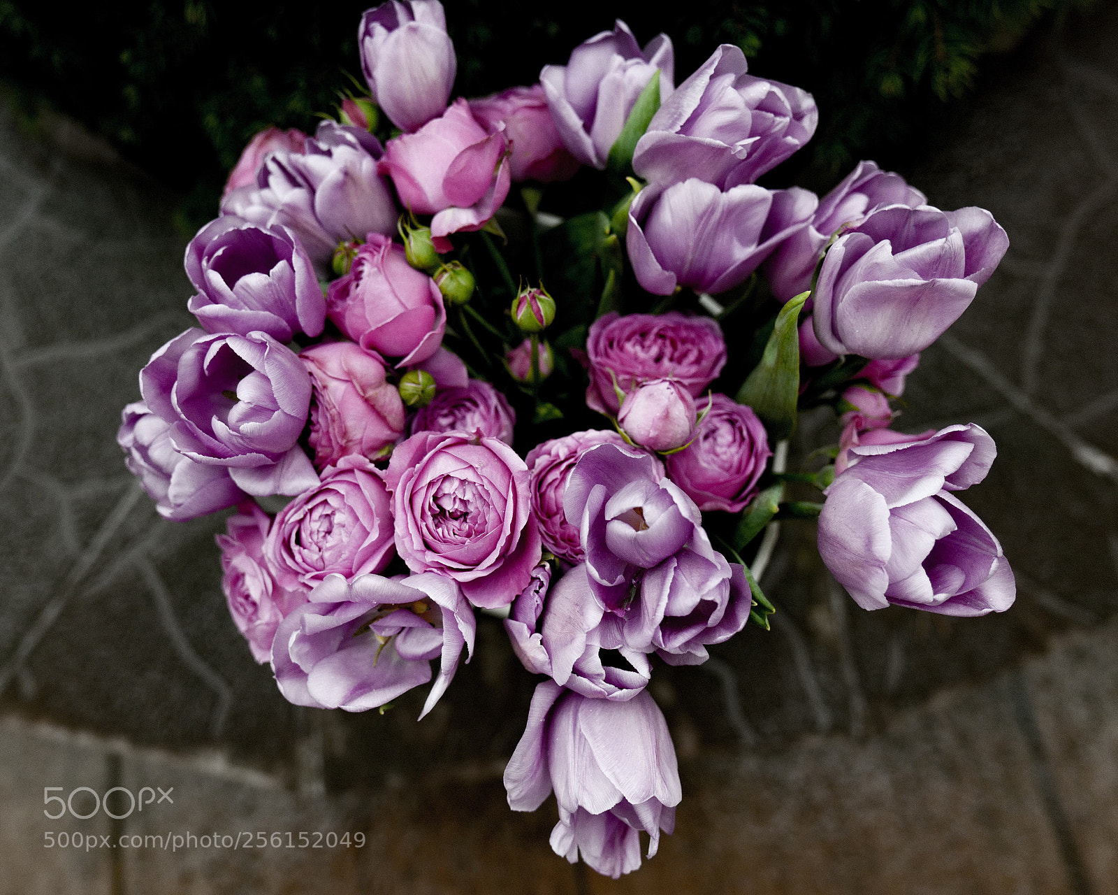 Leica SL (Typ 601) sample photo. Untitled photography