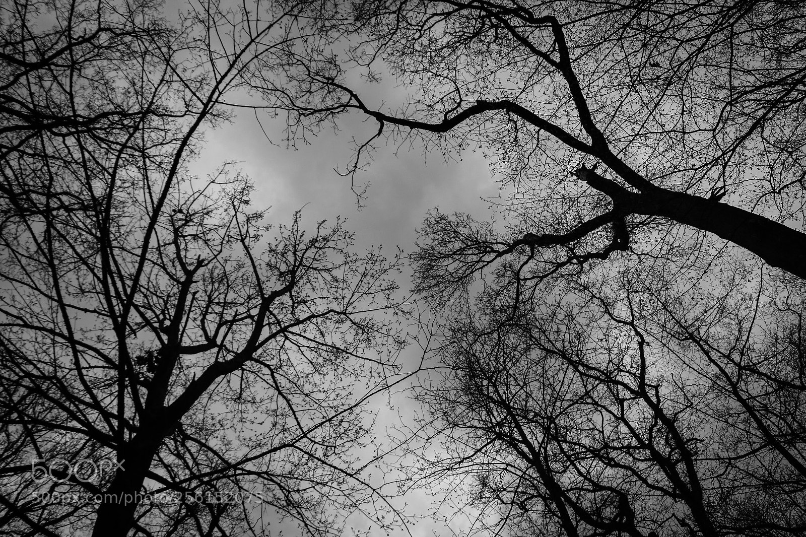 Canon EOS 70D sample photo. Leben und hoffnung photography
