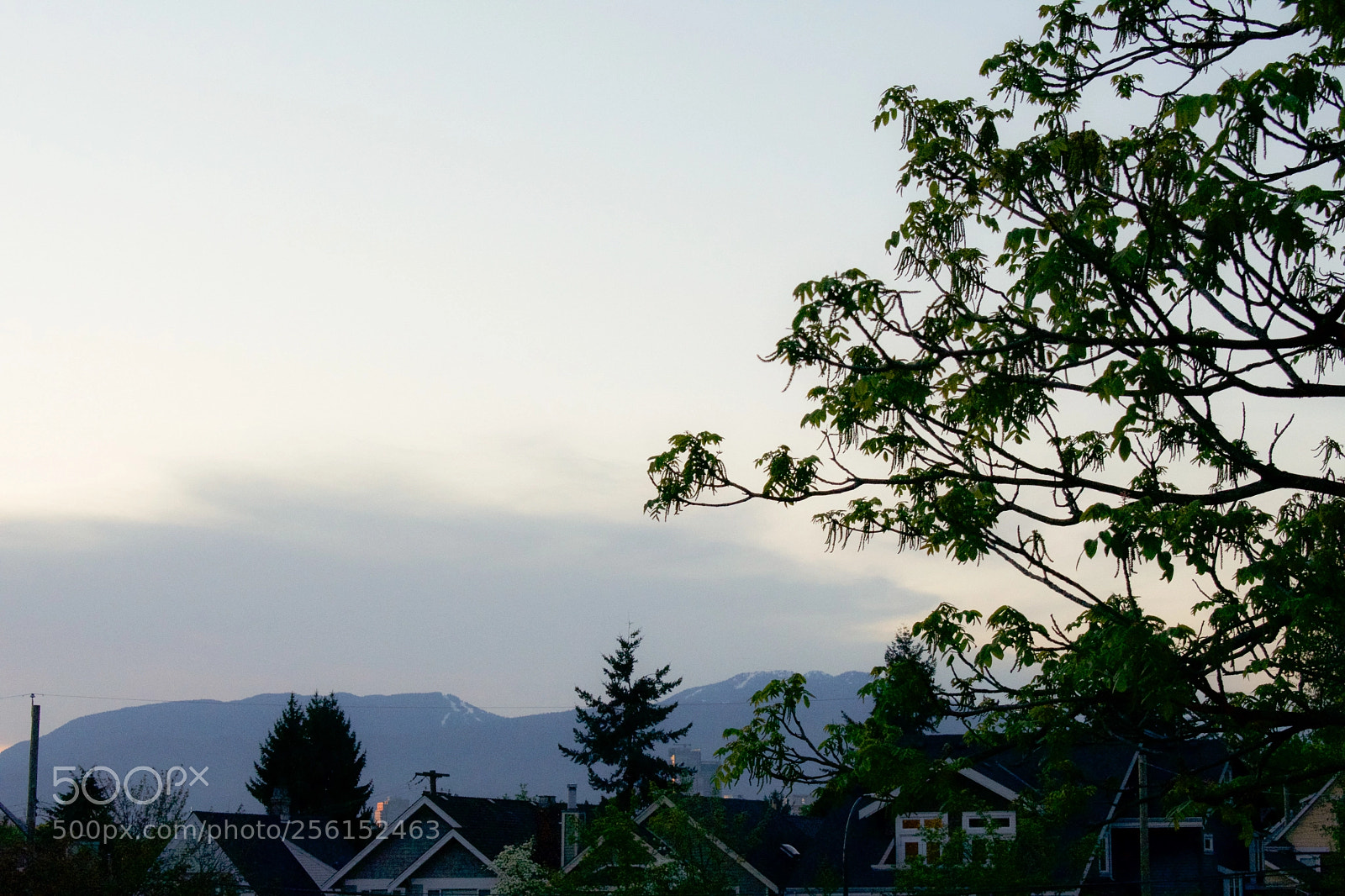 Nikon D3400 sample photo. Sunset photography