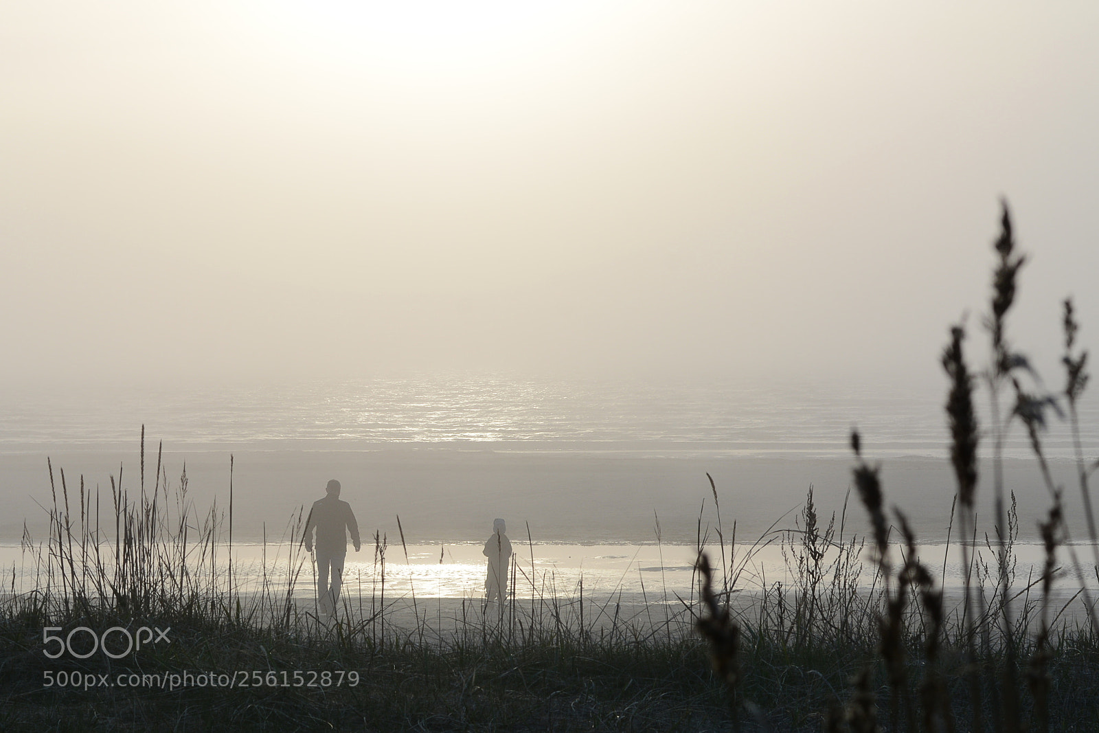 Nikon D7100 sample photo. When fog reached to photography