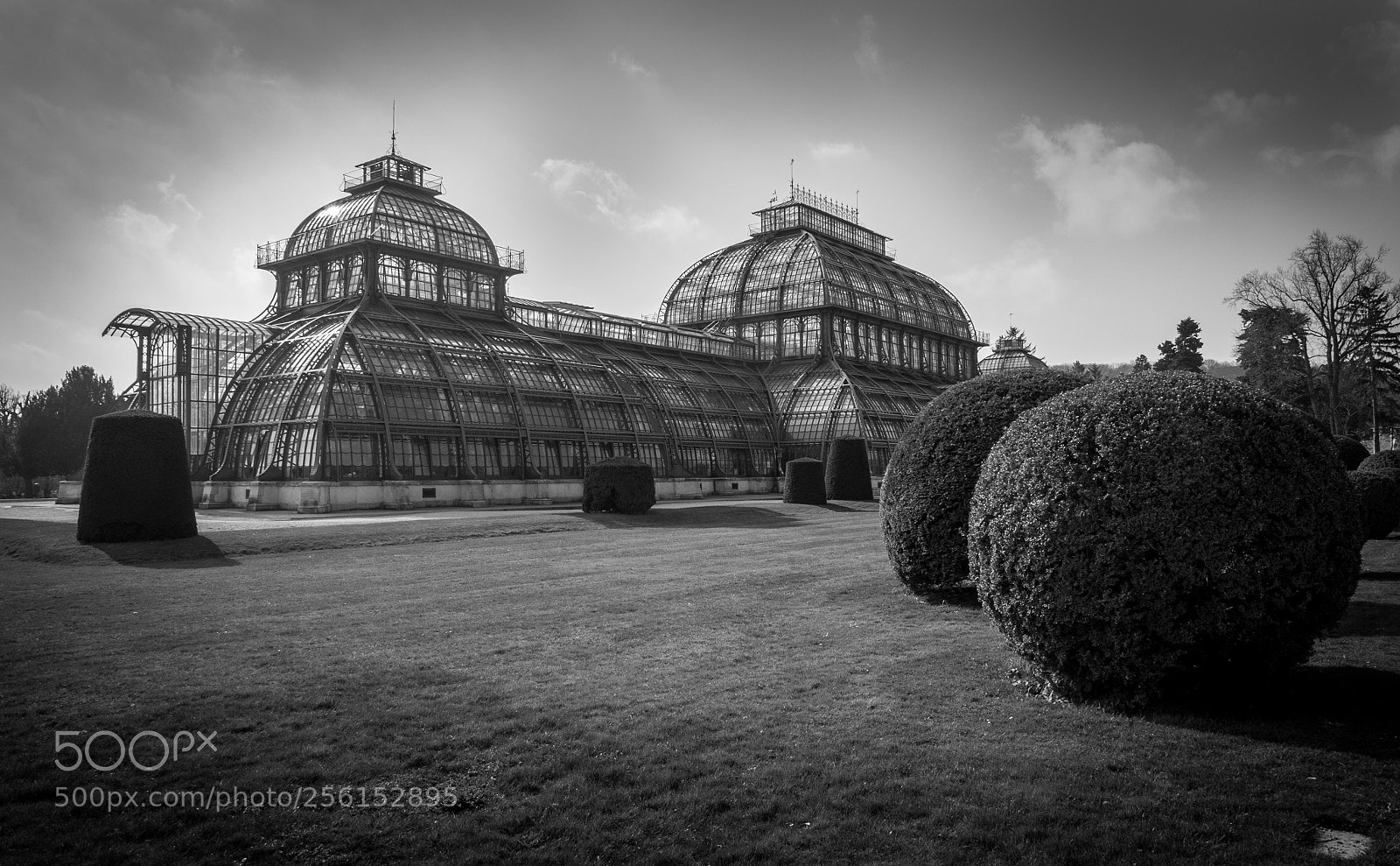 Olympus OM-D E-M1 sample photo. Palmenhaus in vienna-city  photography