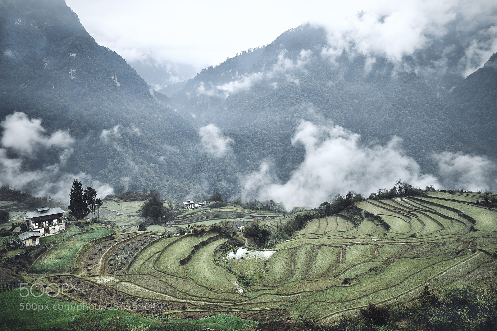 Canon EOS 5D Mark IV sample photo. Bhutan: terrace farming. photography