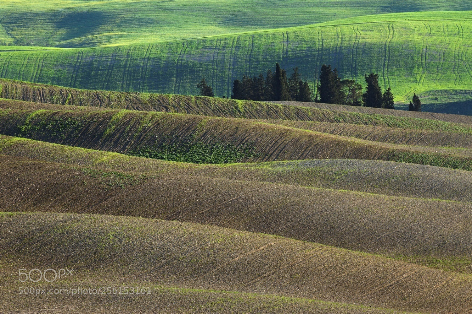 Canon EOS 600D (Rebel EOS T3i / EOS Kiss X5) sample photo. Tuscan countryside 2 photography