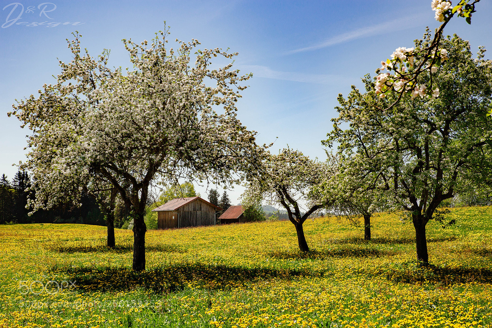 Canon EOS 6D sample photo. Allgäuer frühling photography