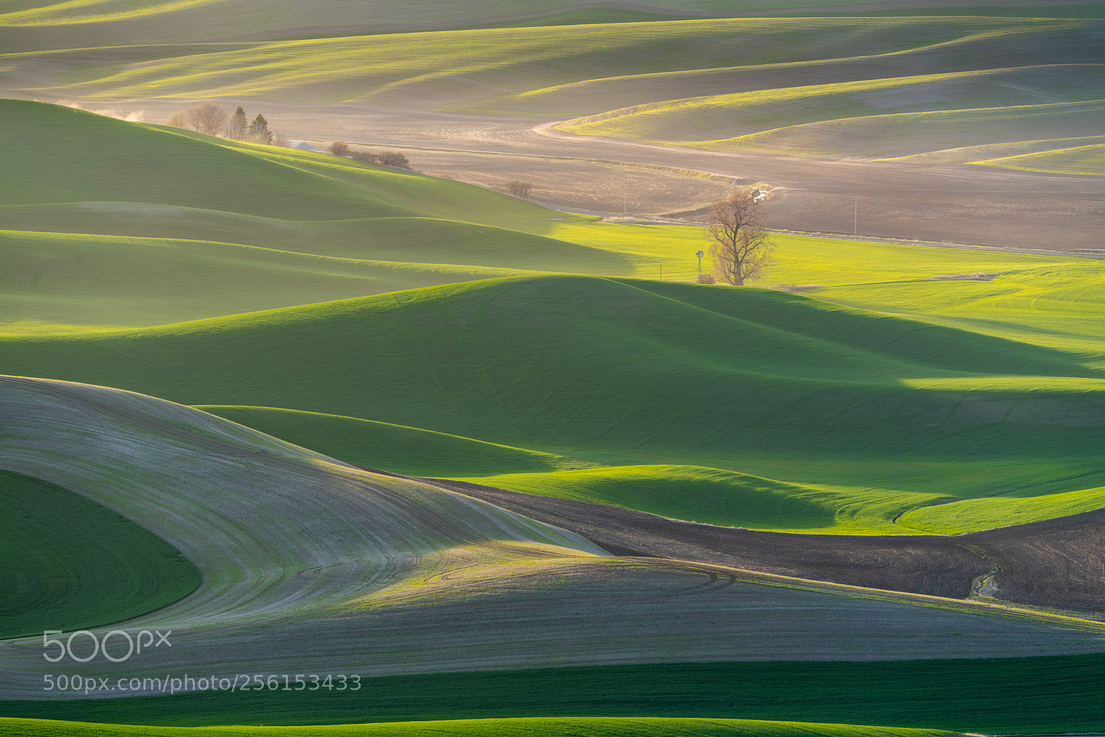 Sony a7R III sample photo. View from steptoe butte photography