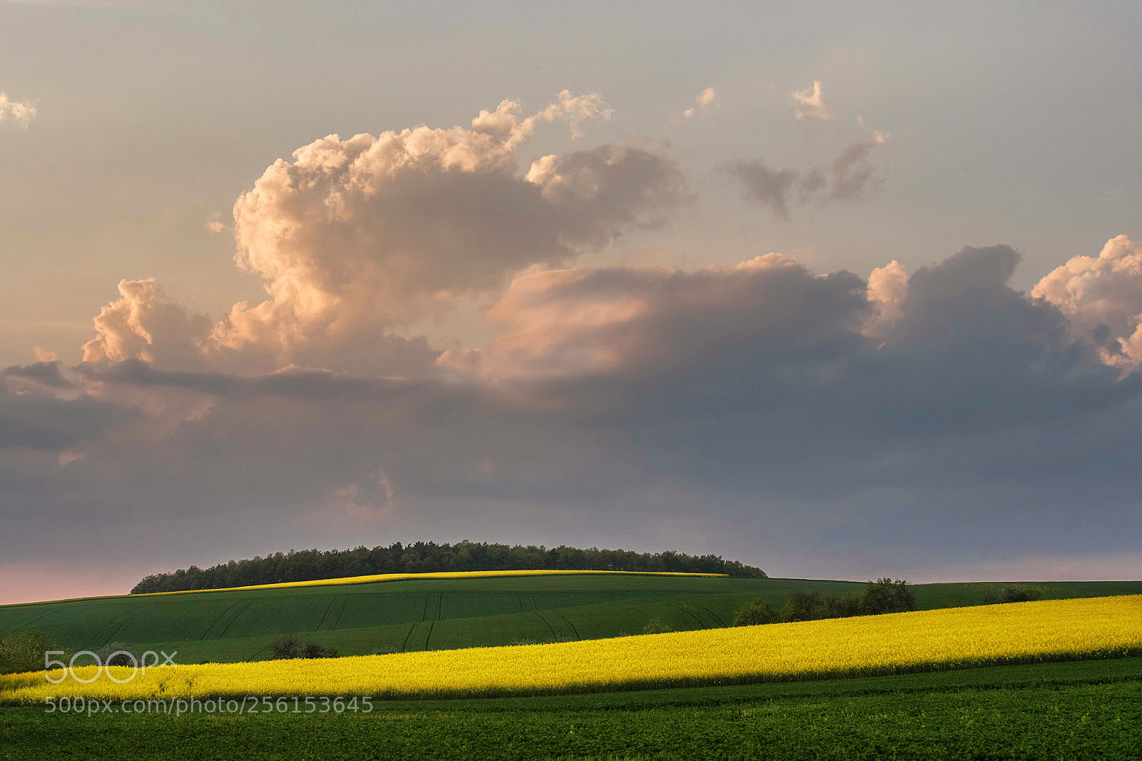 Nikon D500 sample photo. Clouds and fields photography