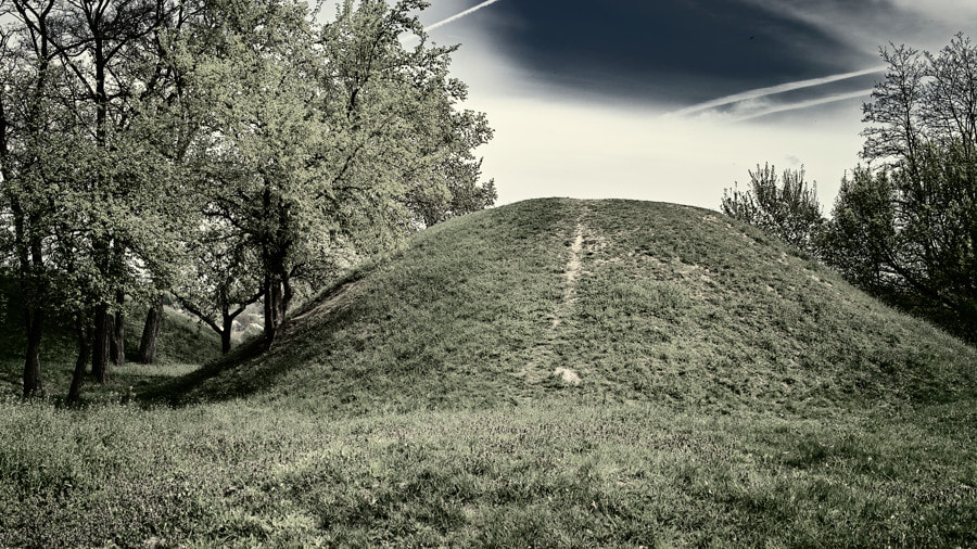 Sigma DP2 sample photo. 'hulbyshche' mound. photography