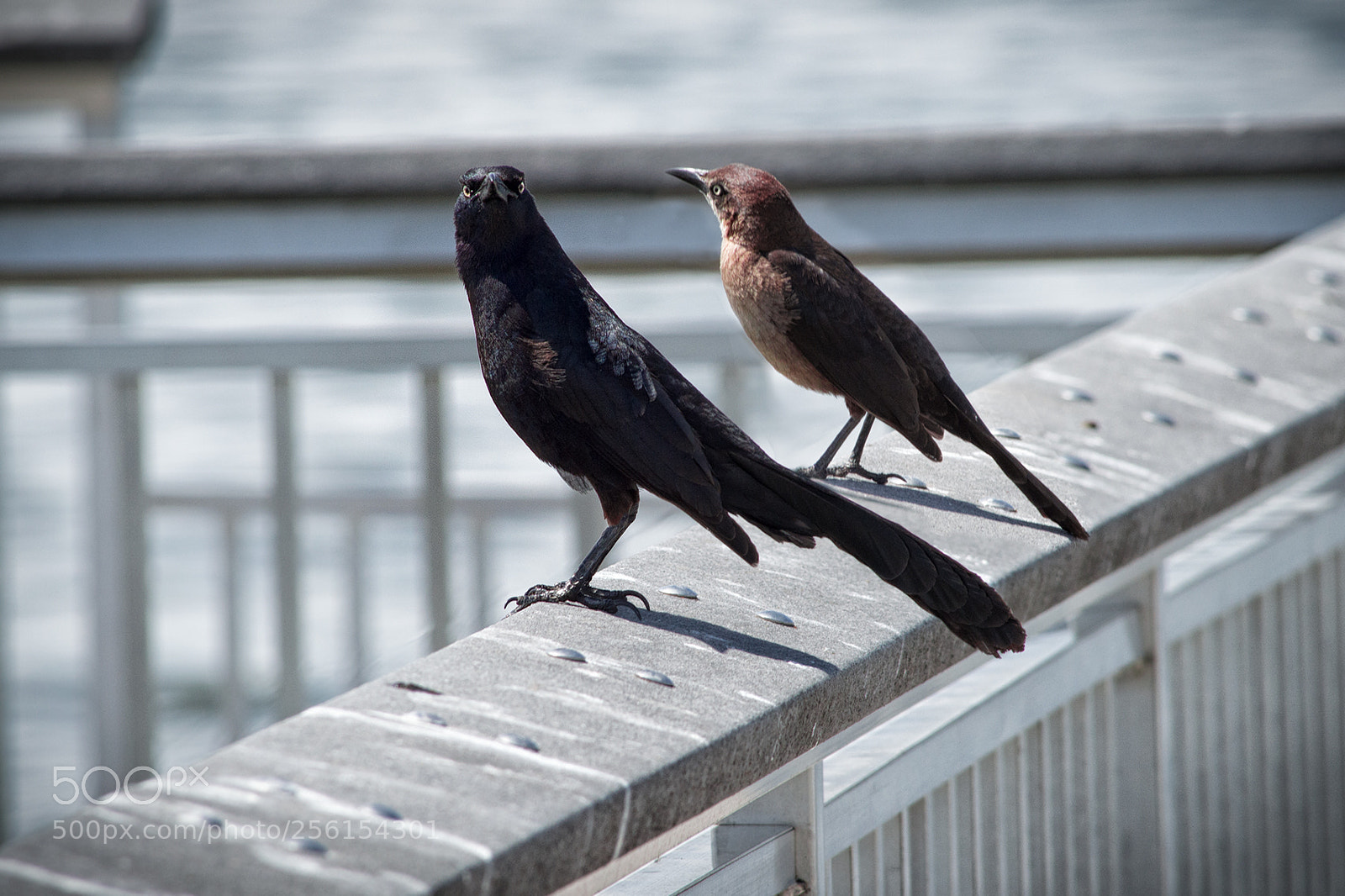 Nikon D3200 sample photo. What are you looking photography