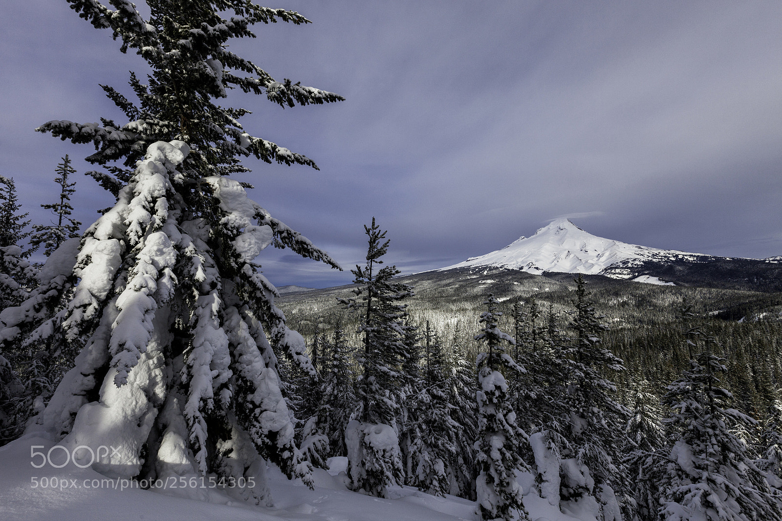 Canon EOS 5D Mark II sample photo. Ghost ridge showshoe photography