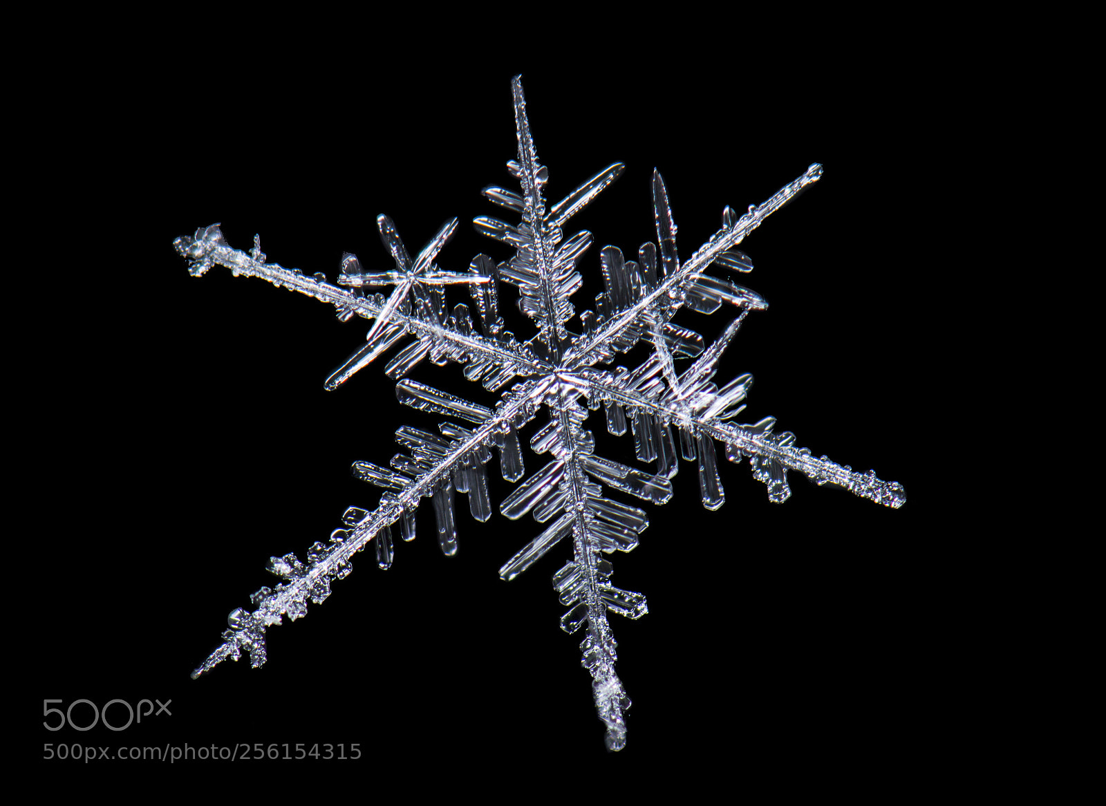 Nikon D7000 sample photo. Imperfect snowflake photography