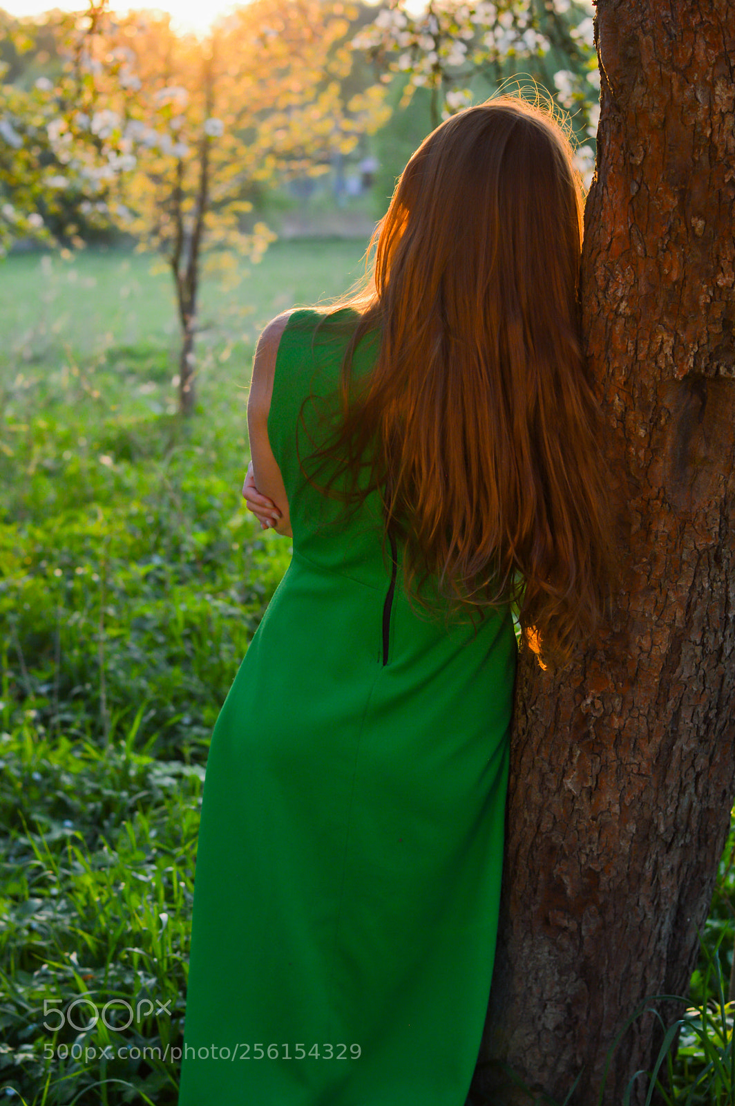 Nikon D3200 sample photo. I love green photography