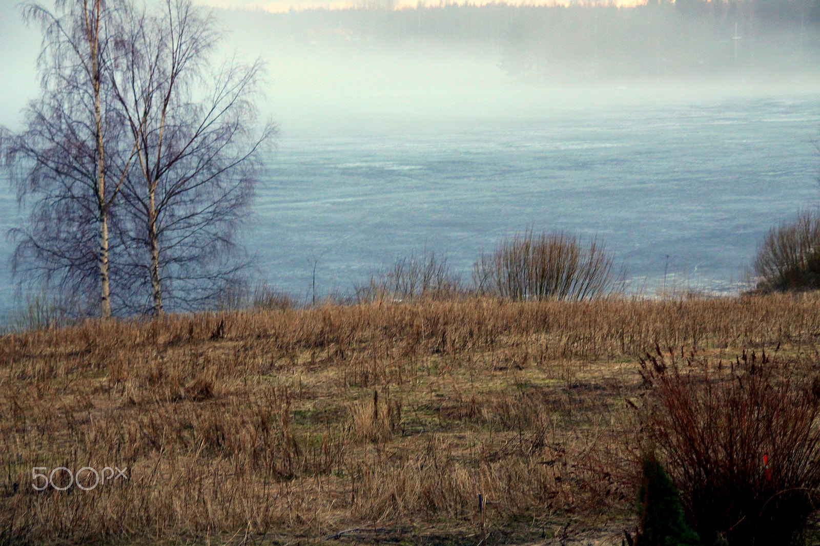 Canon EOS 700D (EOS Rebel T5i / EOS Kiss X7i) + Sigma 18-200mm f/3.5-6.3 DC OS sample photo. Mist, ice...the beginning of spring-time.. photography