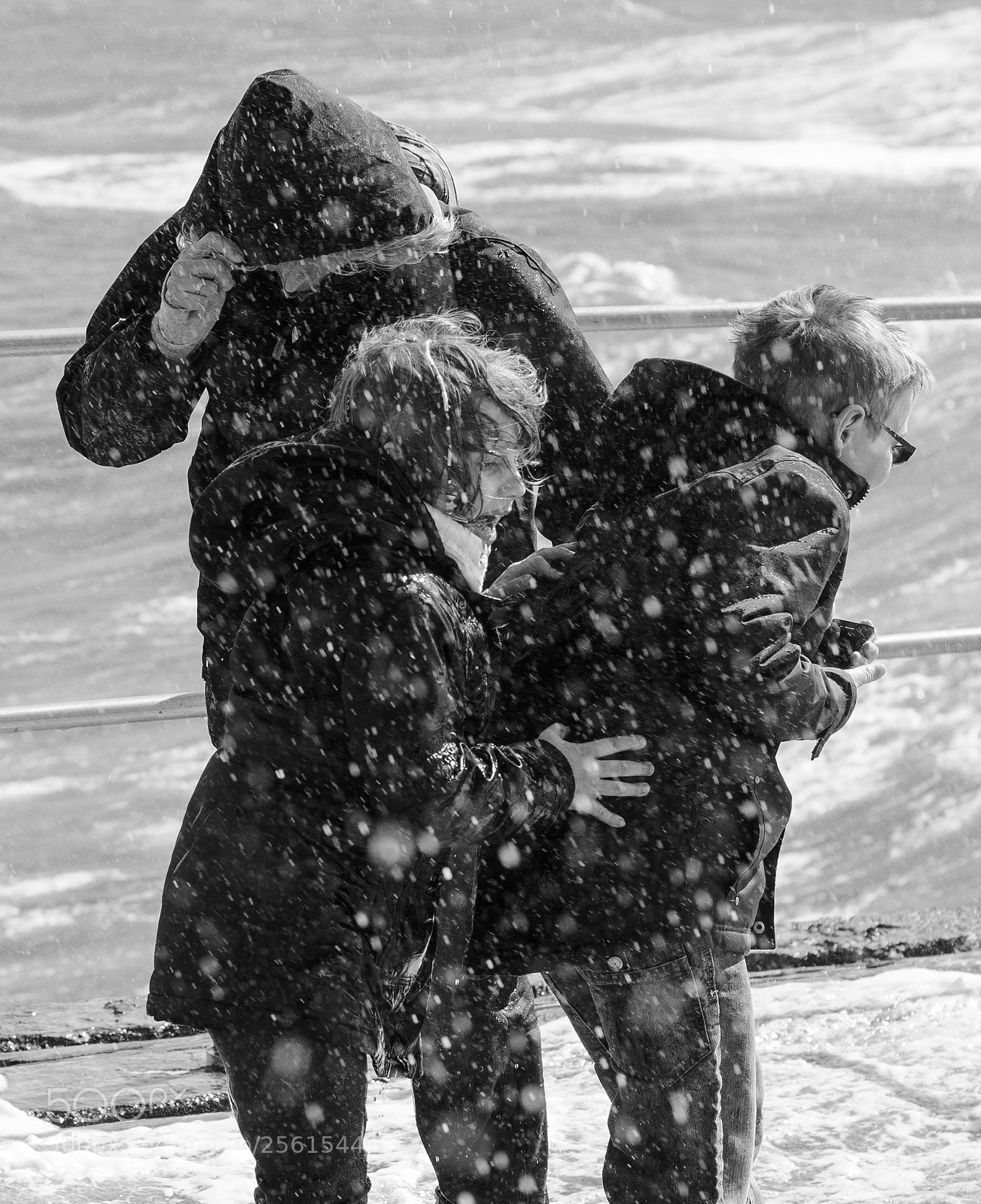 Nikon D7000 sample photo. Untitled photography