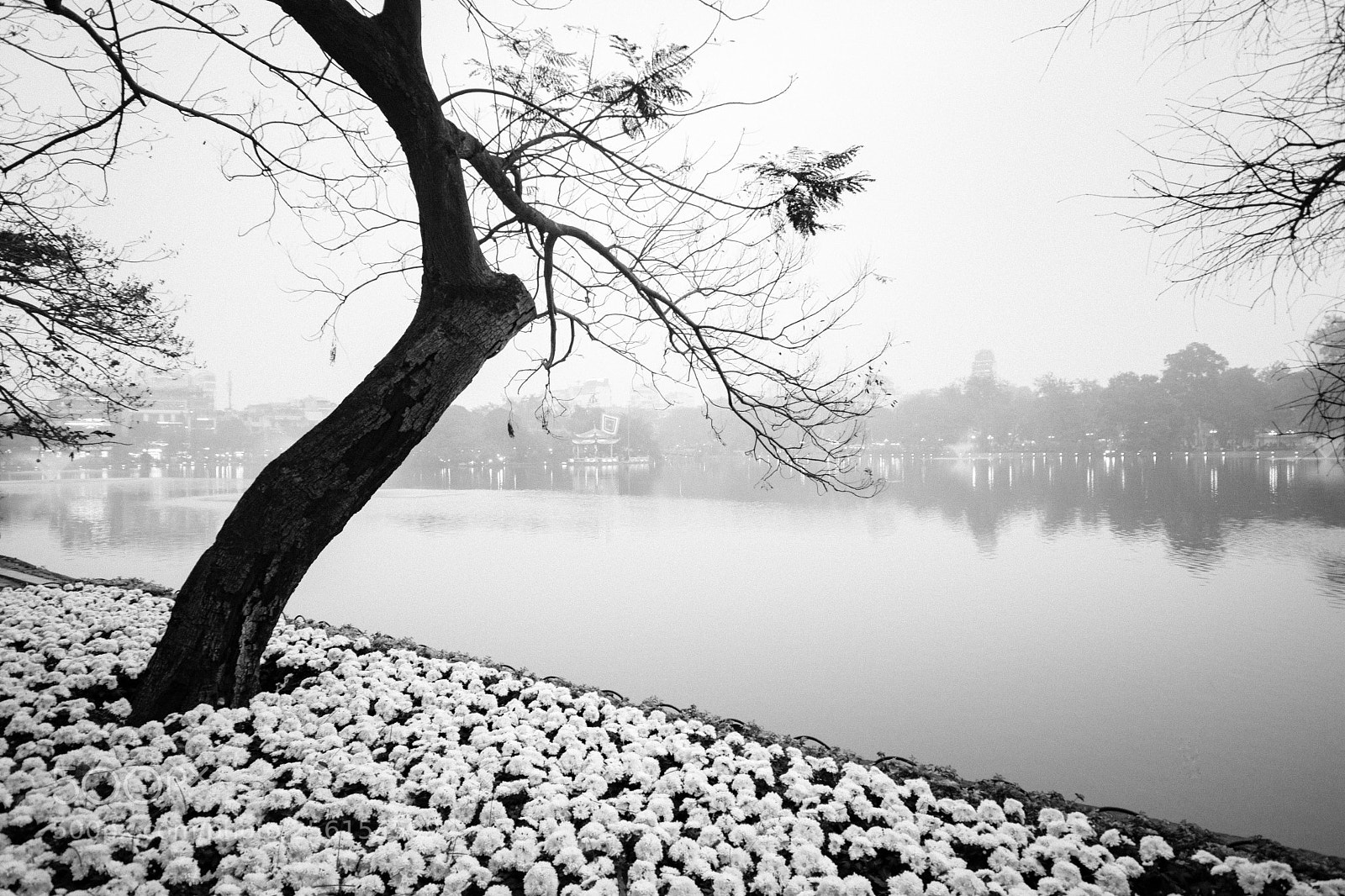 Nikon D7100 sample photo. Untitled photography